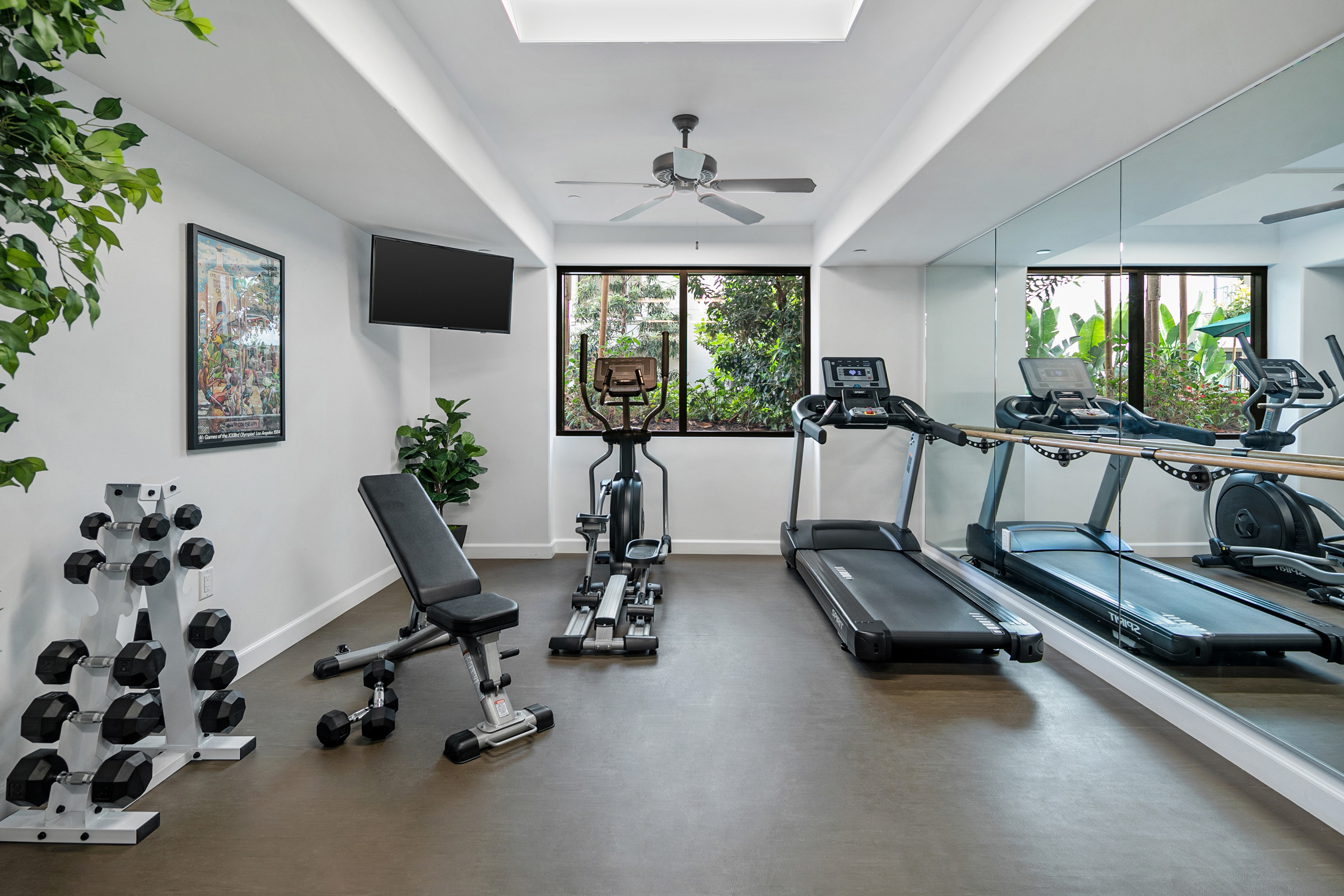 Exercise room with treadmill, elliptical, and 12 dumbbells