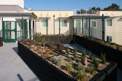 Exterior view of the roof top garden at Rio Vista Apartments.