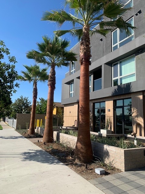 Street view of front of building and palm trees.