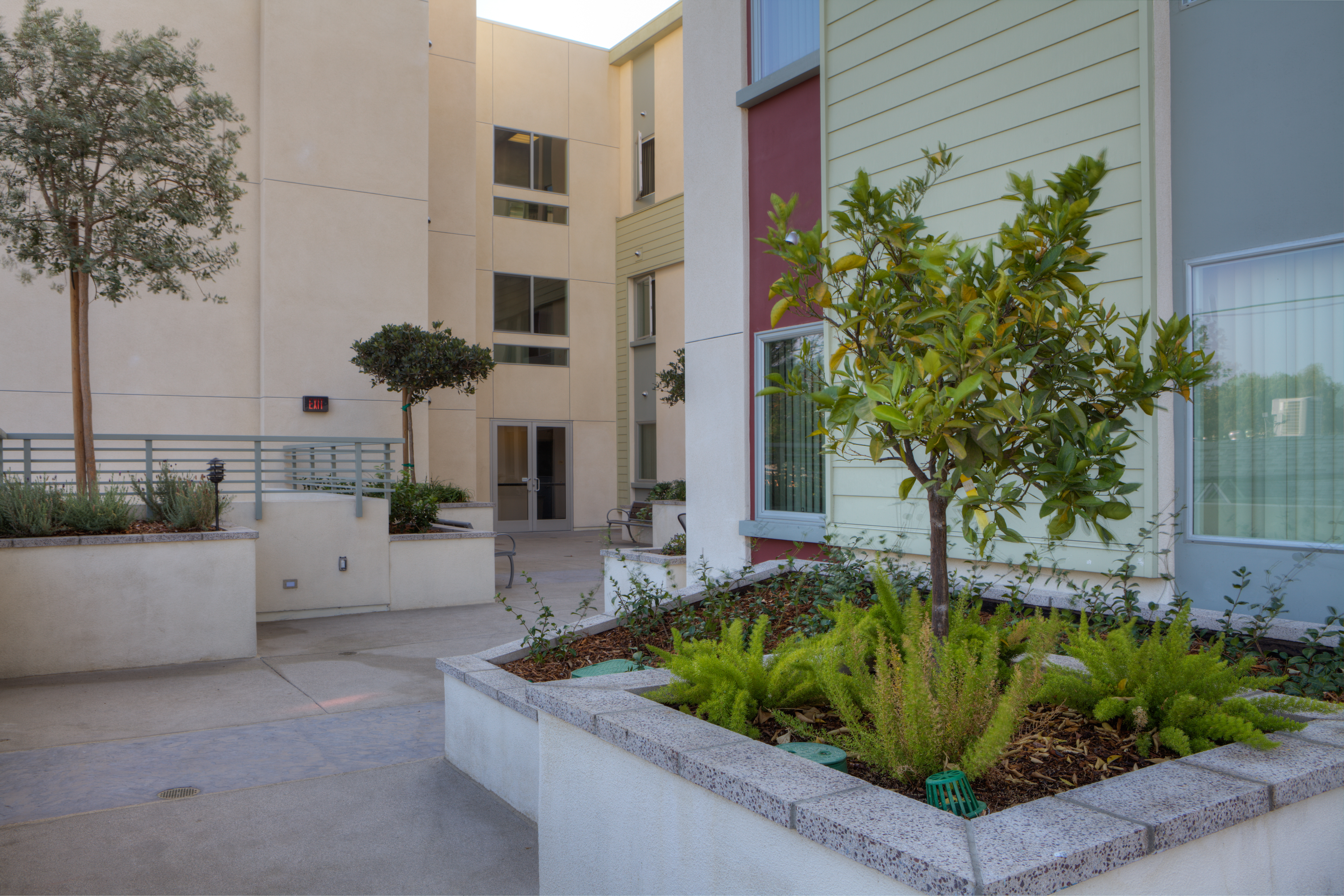 Exterior view of a patio at Vineland Senior Housing, with landscaping in large planters