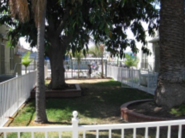 Picture of courtyard. Courtyard has white fences and a gate. Inside the courtyard there are 3 large trees.