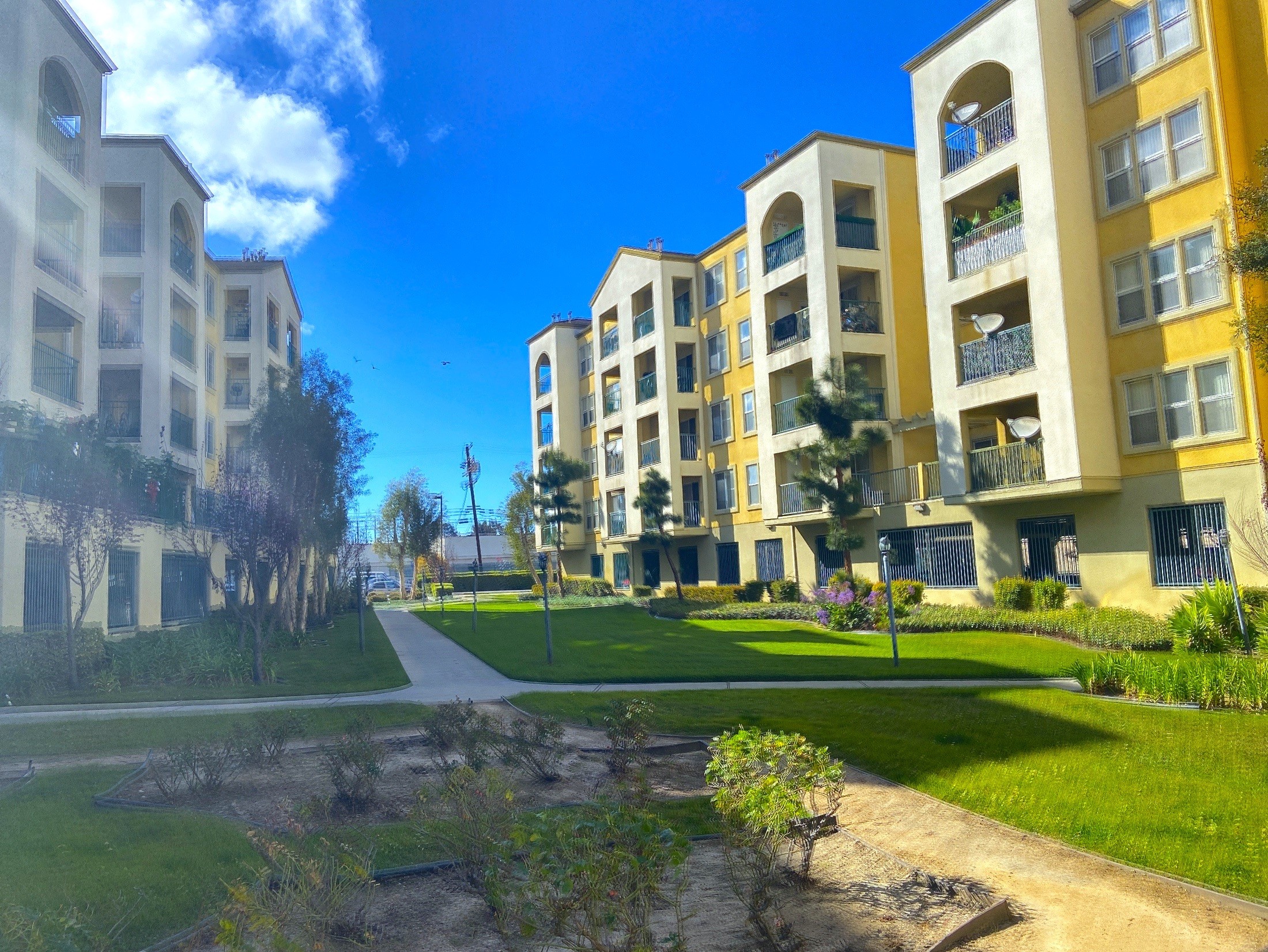 There is a courtyard in between two buildings with green grass and a walkway.