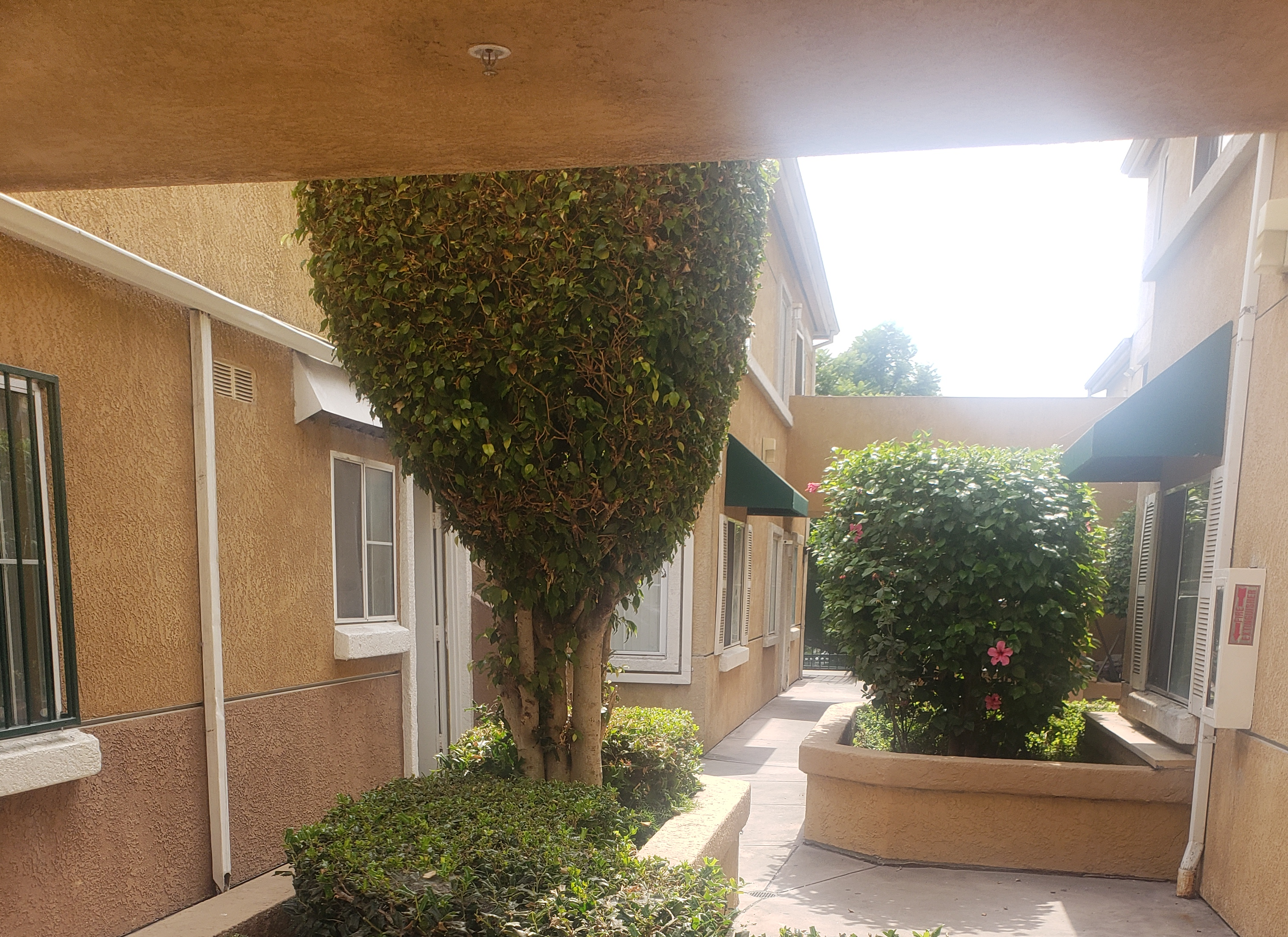 Photo of courtyard of multi-level building.