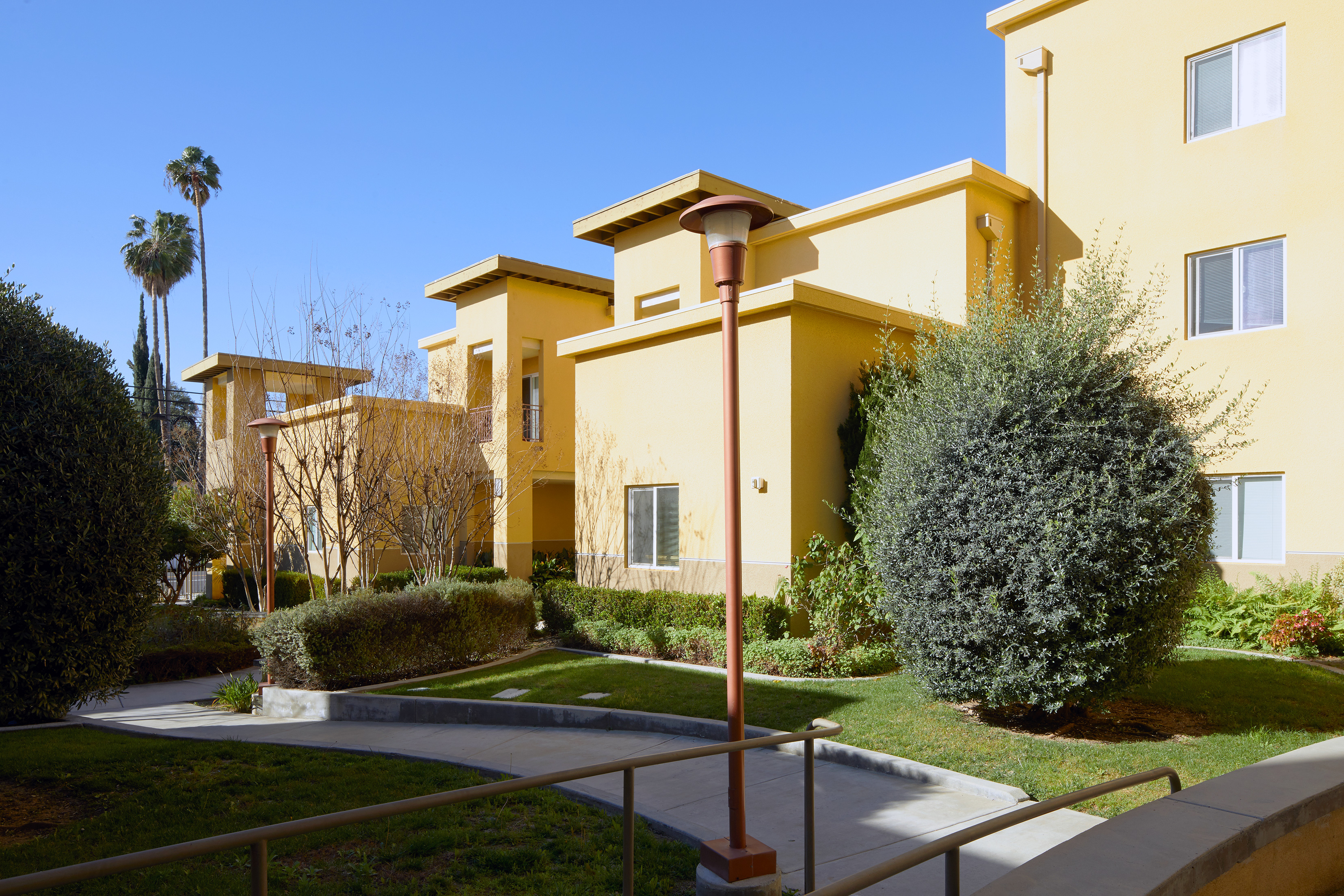 Exterior view of a courtyard at Parthenia Street Senior Housing showing landscaping bordering a walkway