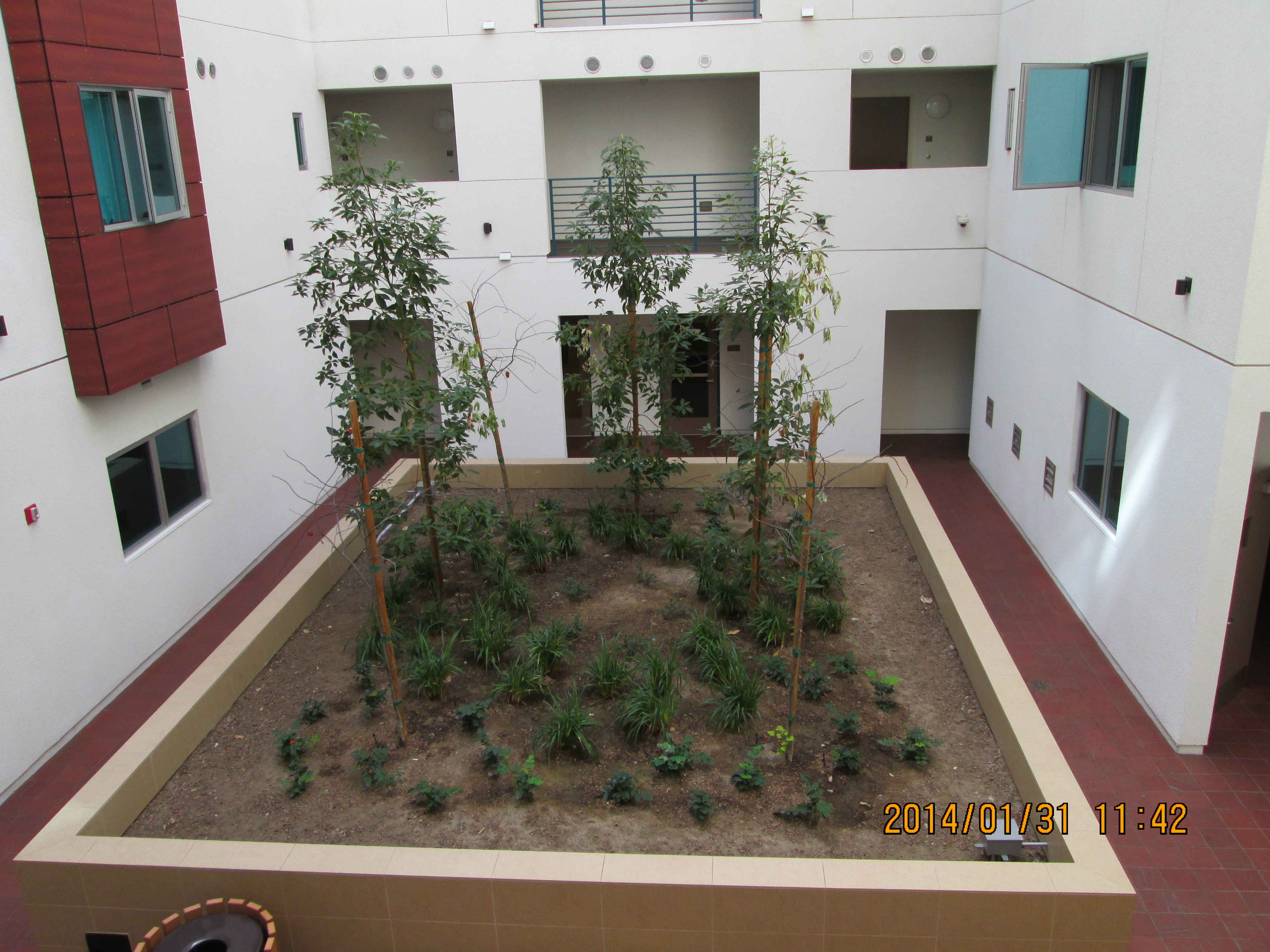 Image og gateways apartments common area. large square raised planter with trees and plants. walkway on all four sides
