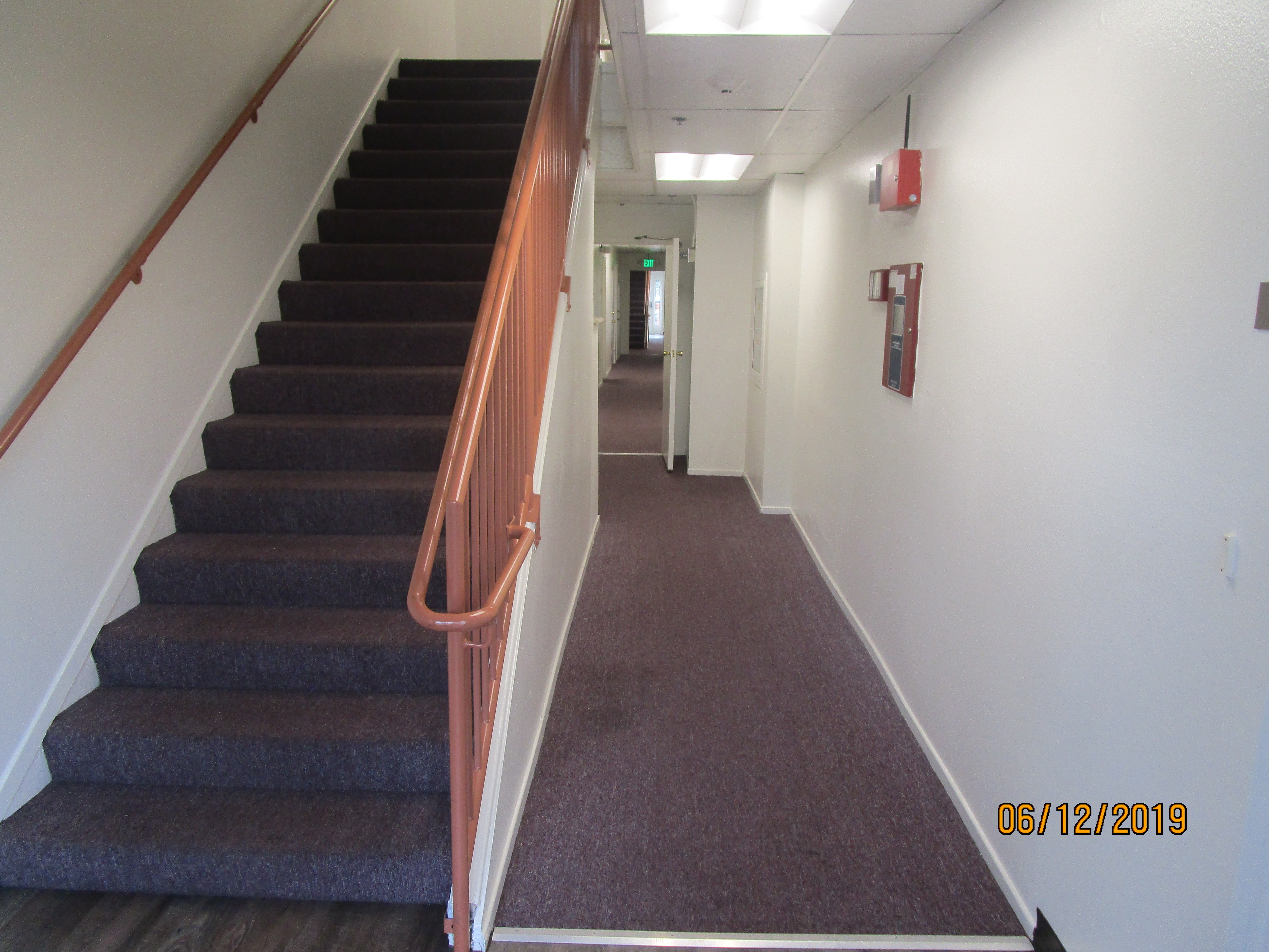 A seventeen carpeted stairway with metal handrails on each side, a brown carpeted hall.