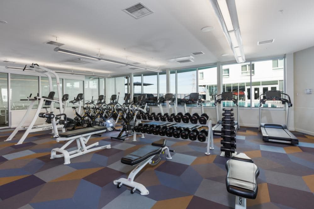 Fitness room with multiple bench presses, weights, recumbent exercise bikes, and a treadmill. Room has windows and carpeted flooring.