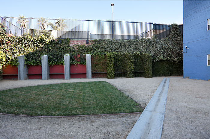 Patch of grass that is surrounded by dirt. Off to the side, there are bushes aligned to a wall and a fence on top of the wall.