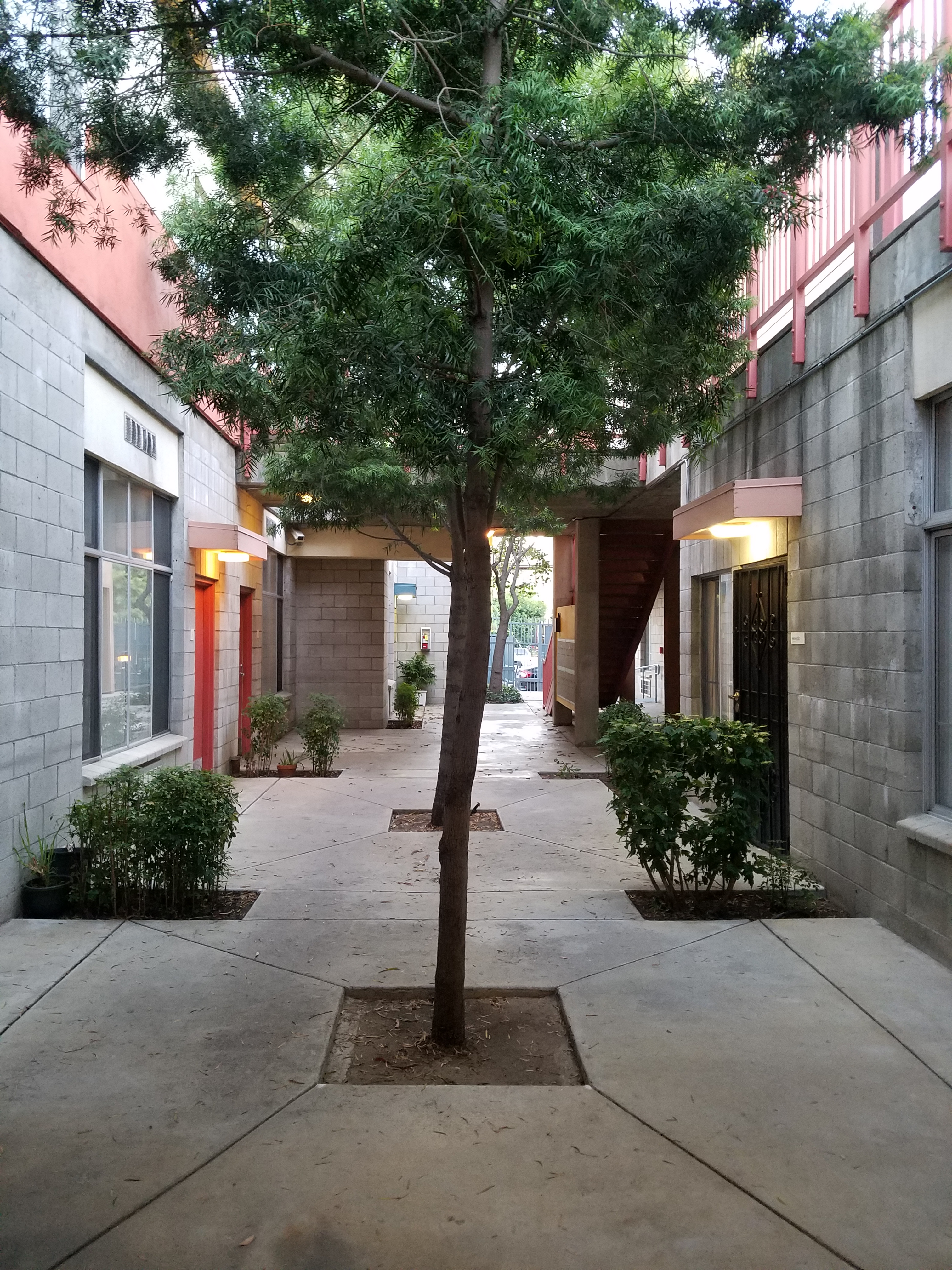 Parthenia court courtyard. Small sections of plants and trees in the center and sides of the walkway