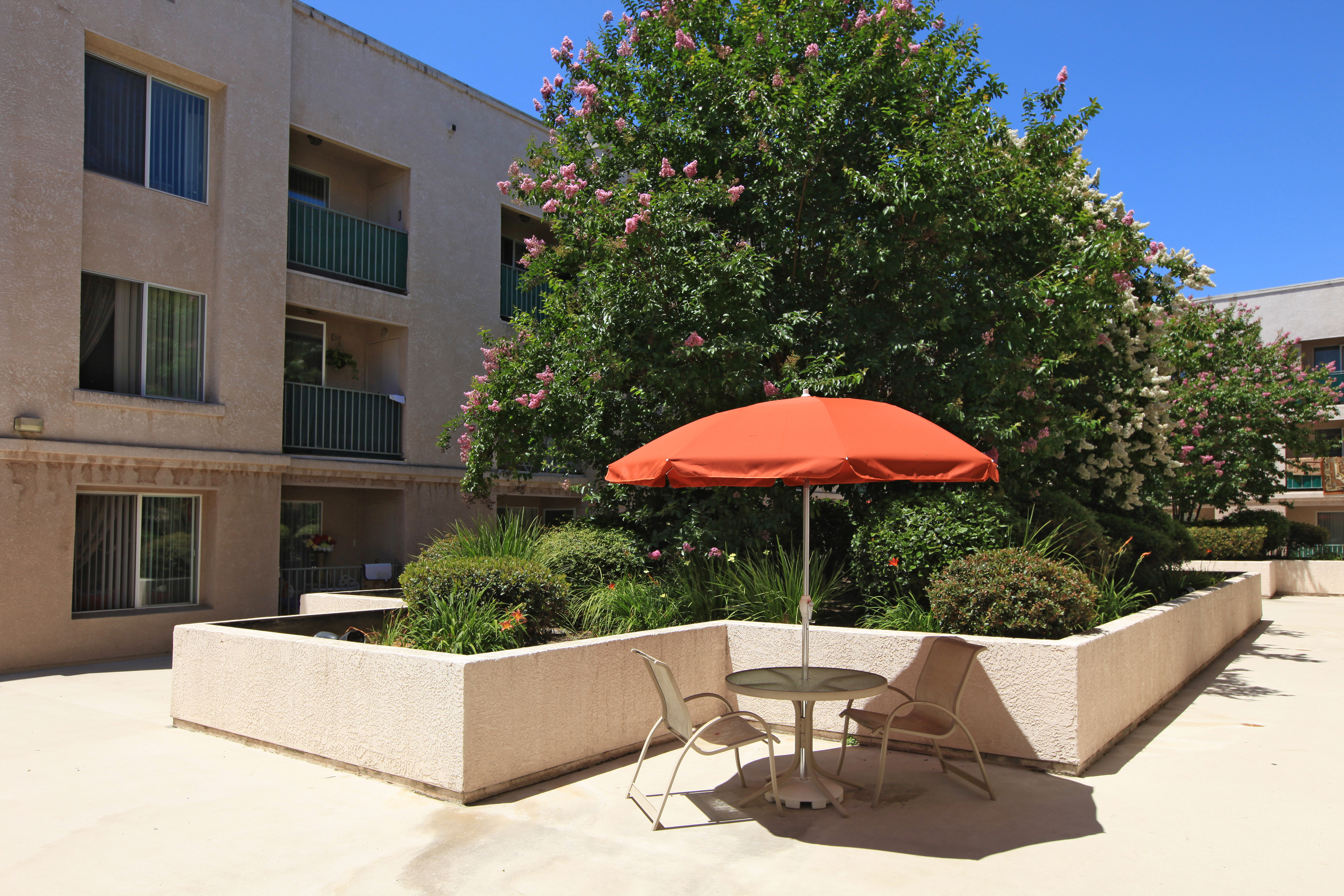 View of a courtyard, a small round table with two chairs and an orange umbrella, bushes and trees behind the table.
