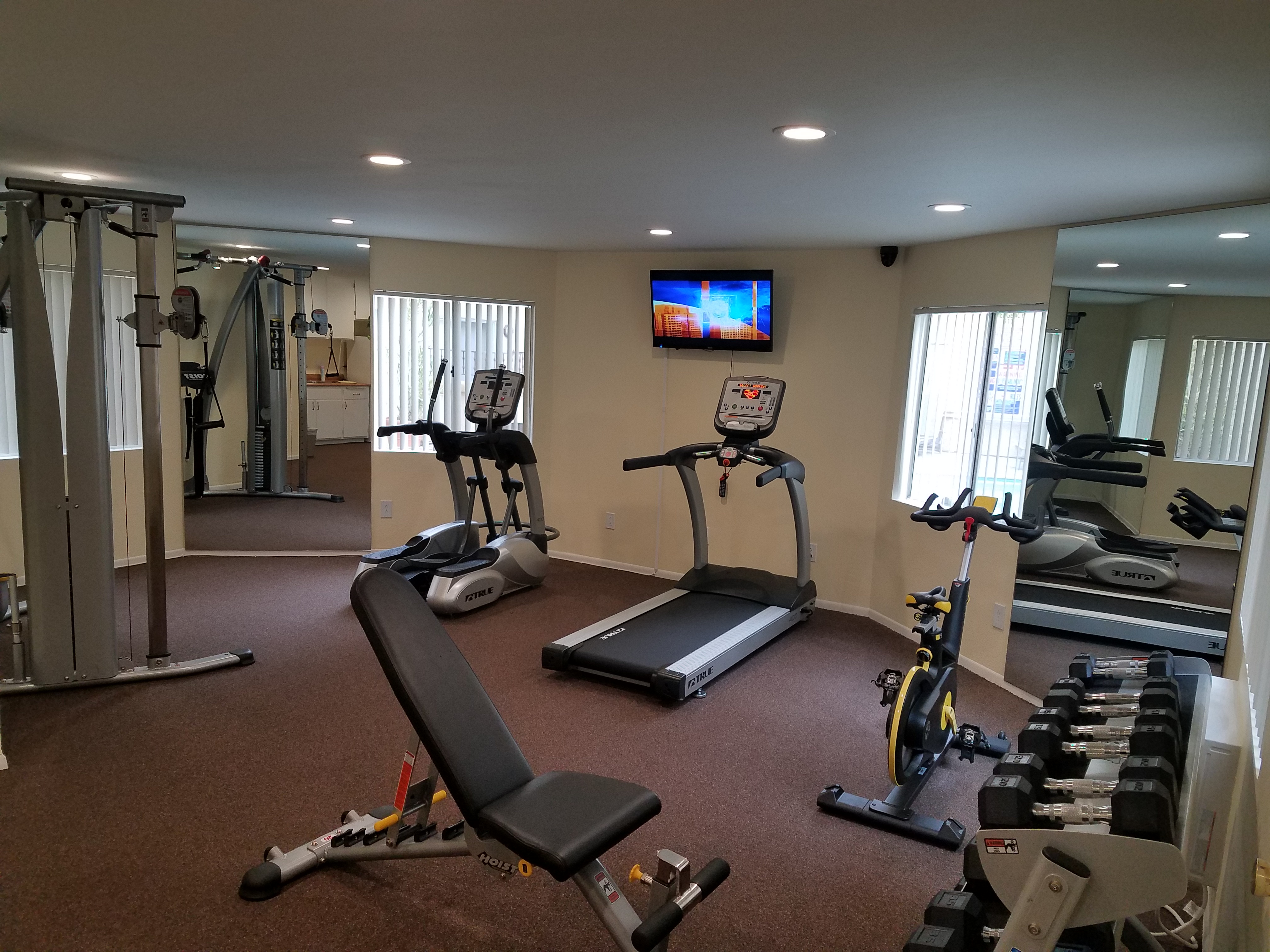 View of a gym, brown carpet, workout equipments including weights, a TV hanging from the wall, mirrors, white windows with white vertical blinds.