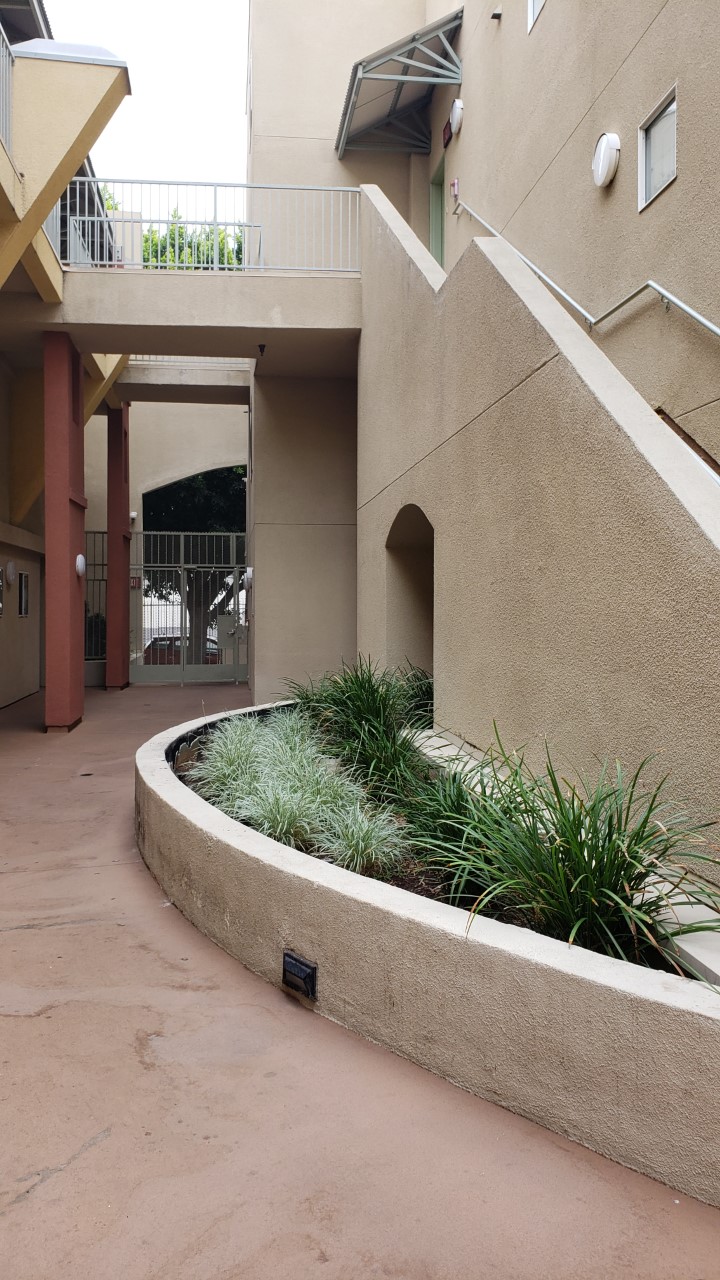 View of an outdoor staircase and a plant section next to it.