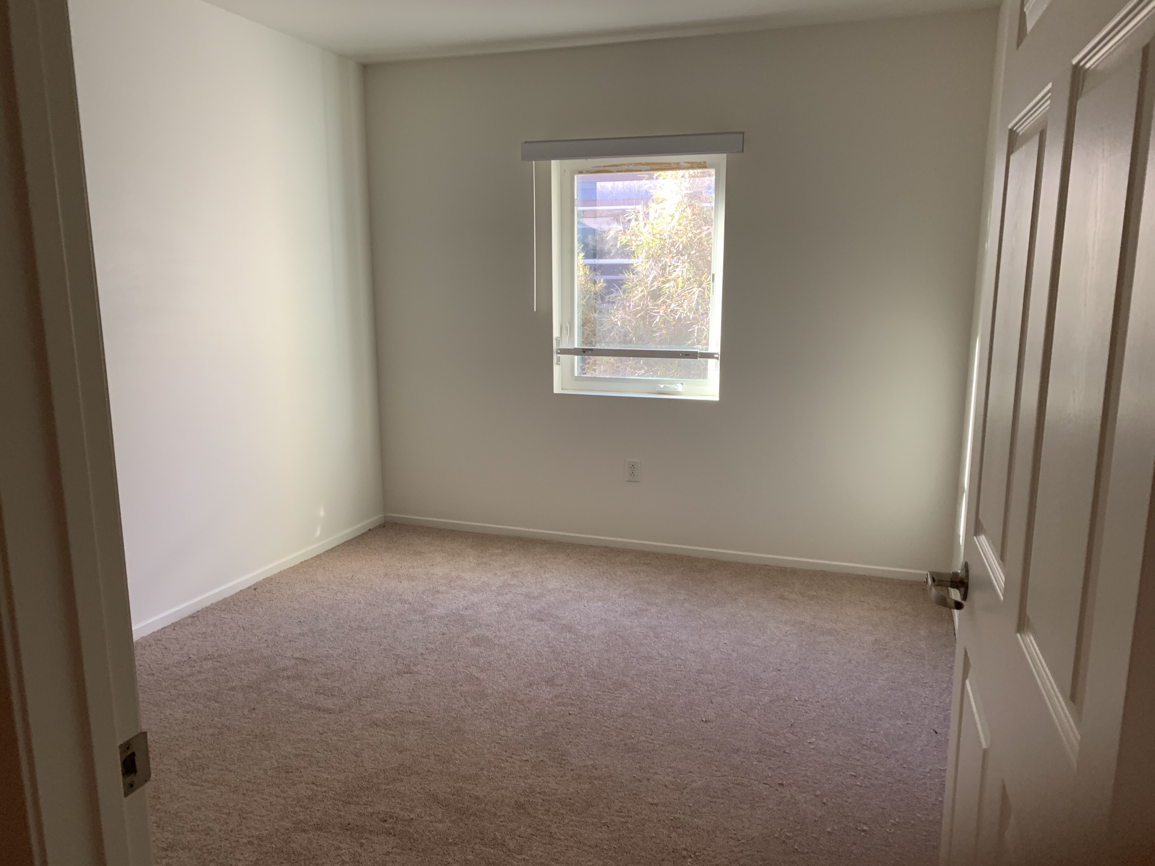 Carpeted bare bedroom in daylight, window right on tree