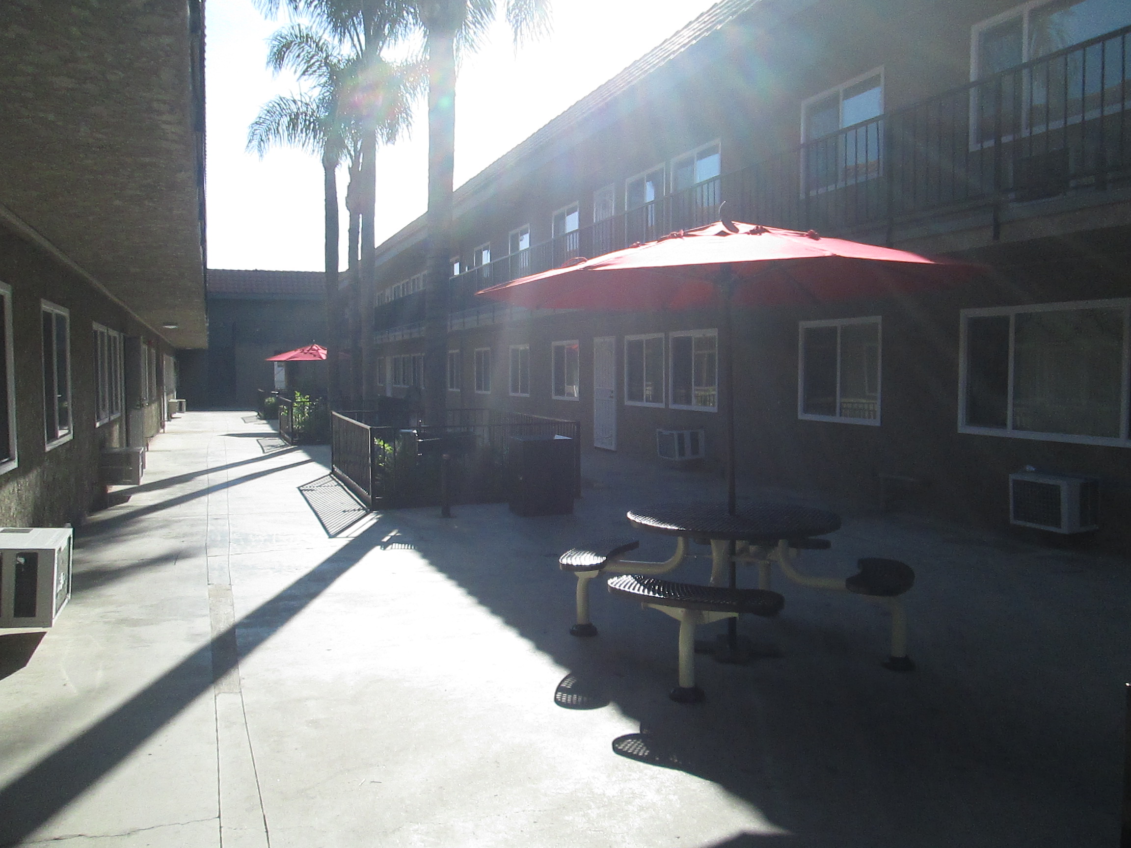 Courtyard view, two round outdoor steel picnic table with umbrella, concrete patio, palm trees, little gated courtyards.