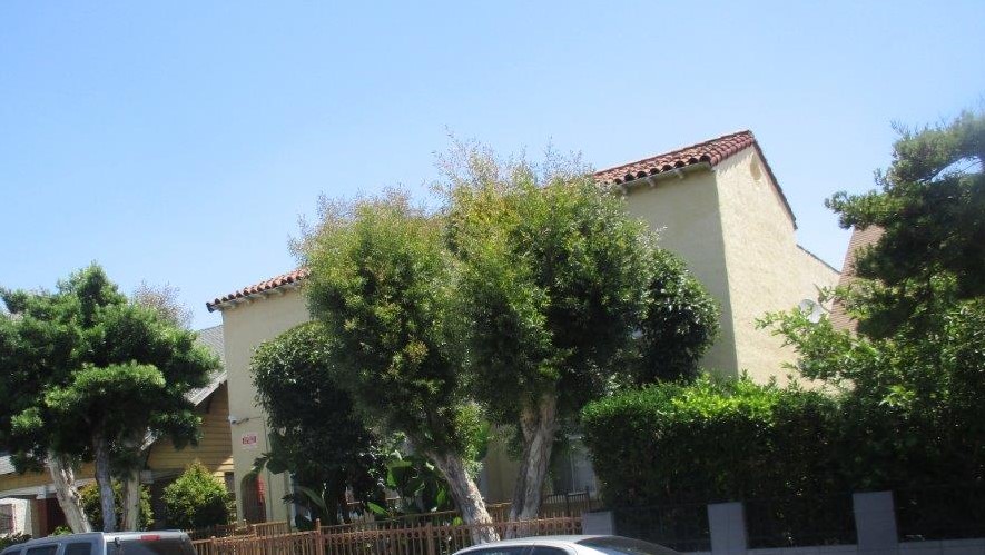 Side view of a yellow building, a tall tree blocking most of it, brick roof, parked cars.