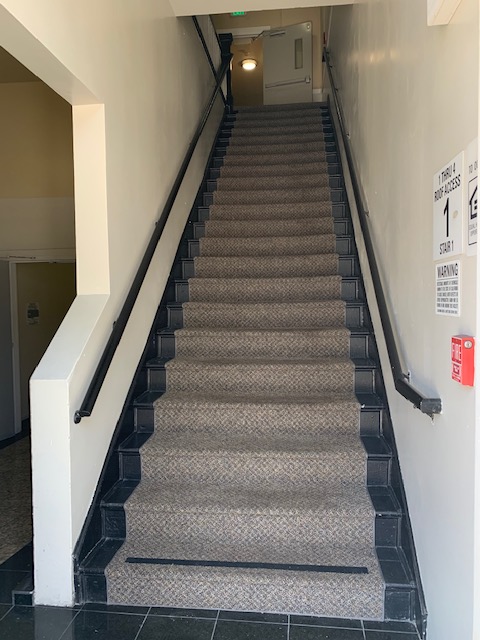 Front view of 22 carpeted stairway up, black handrail on each side, wide geige open door all the way up, roof access sign on the right side, fire alarm switch, lights.