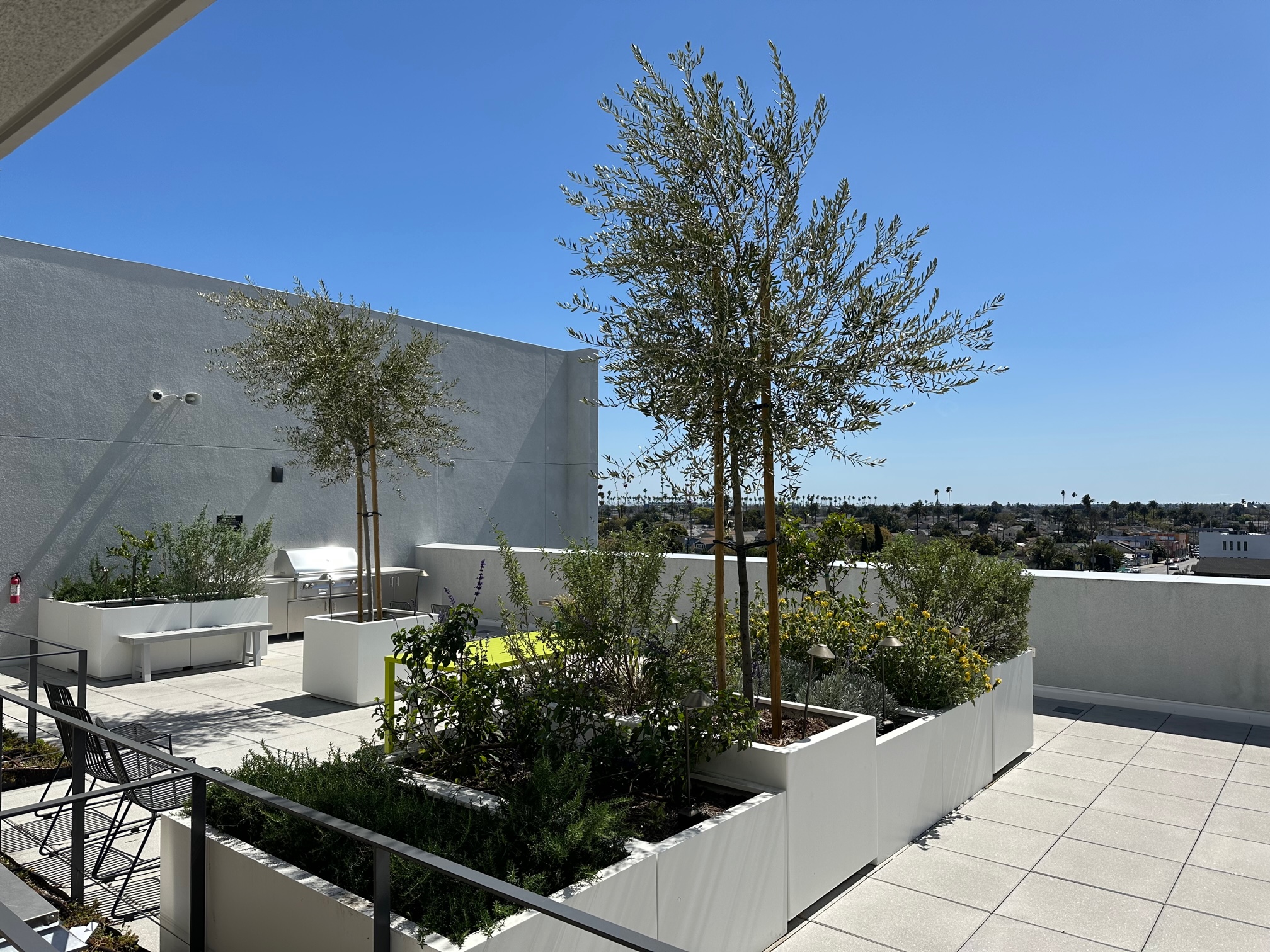 Property Pictures of roof top patio area with cement planters of trees and flowers, chairs, benches and BBQ grill.
