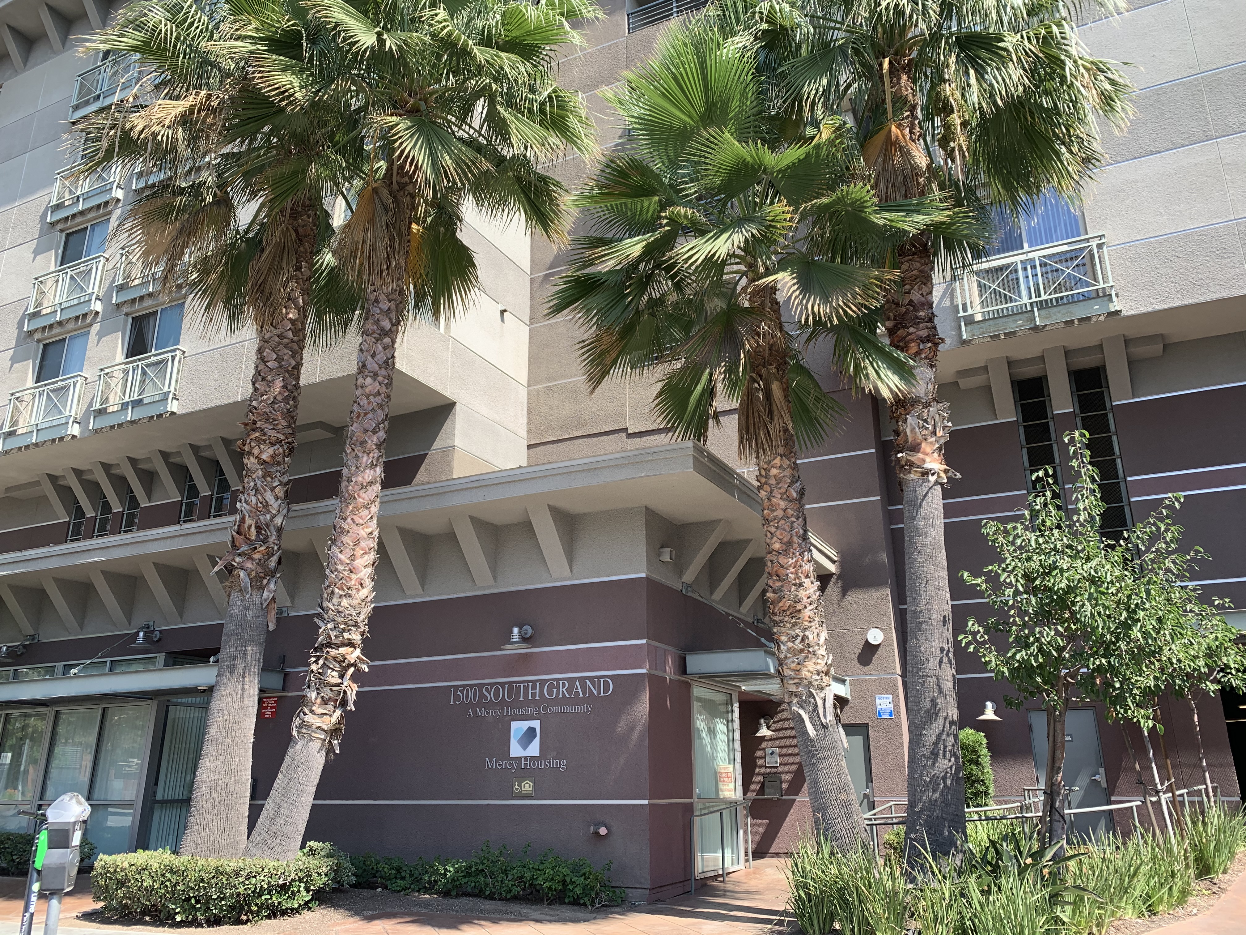 Front view of brown and beige multiple floors, double palm trees in front and more plants surrounding the entrance, multiple windows some with balconies, parking meter.