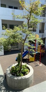 View of a colorful playground.