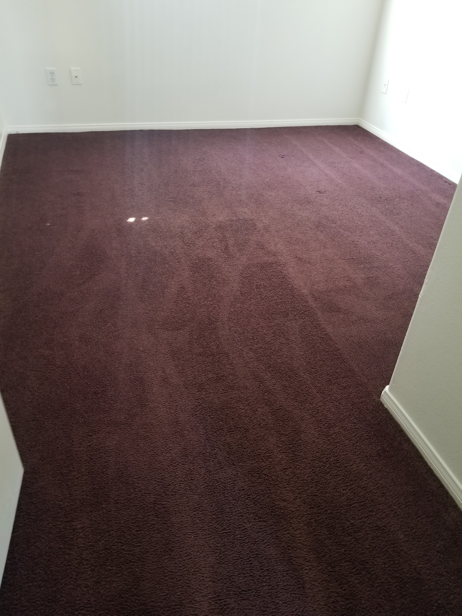 view of a bedroom at Willow Tree Village. Room has burgandy carpet.