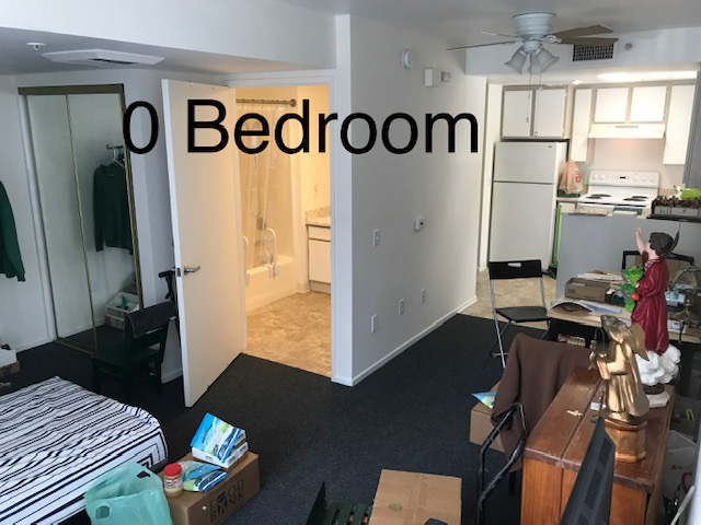 Image of the bedroom with an attached bathroom