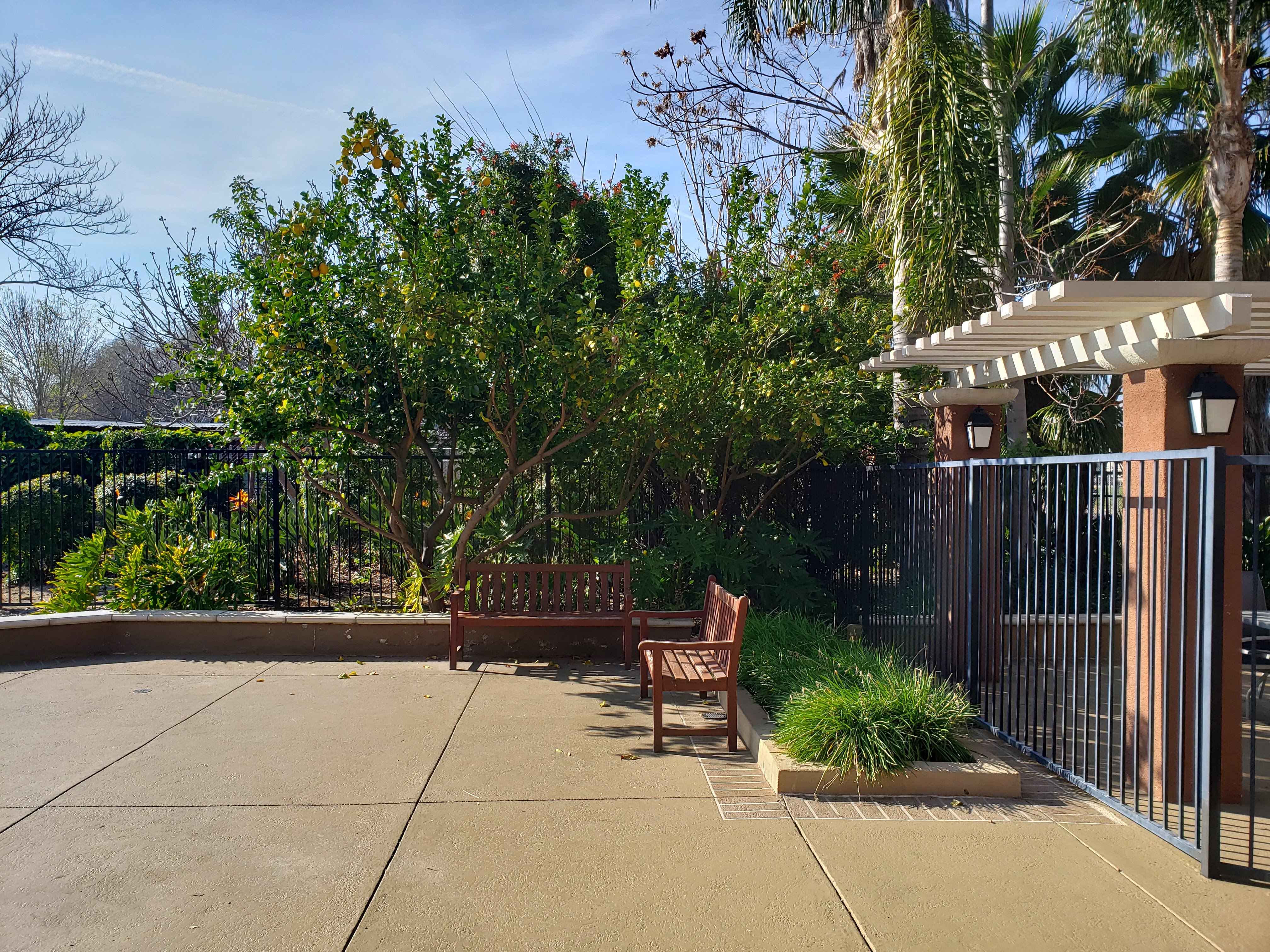Image of vintage crossing senior apartments. fenced in gazebo area on right side of image. on left side is a large walkway area with bench seating. raised flower beds wrapp around fence.