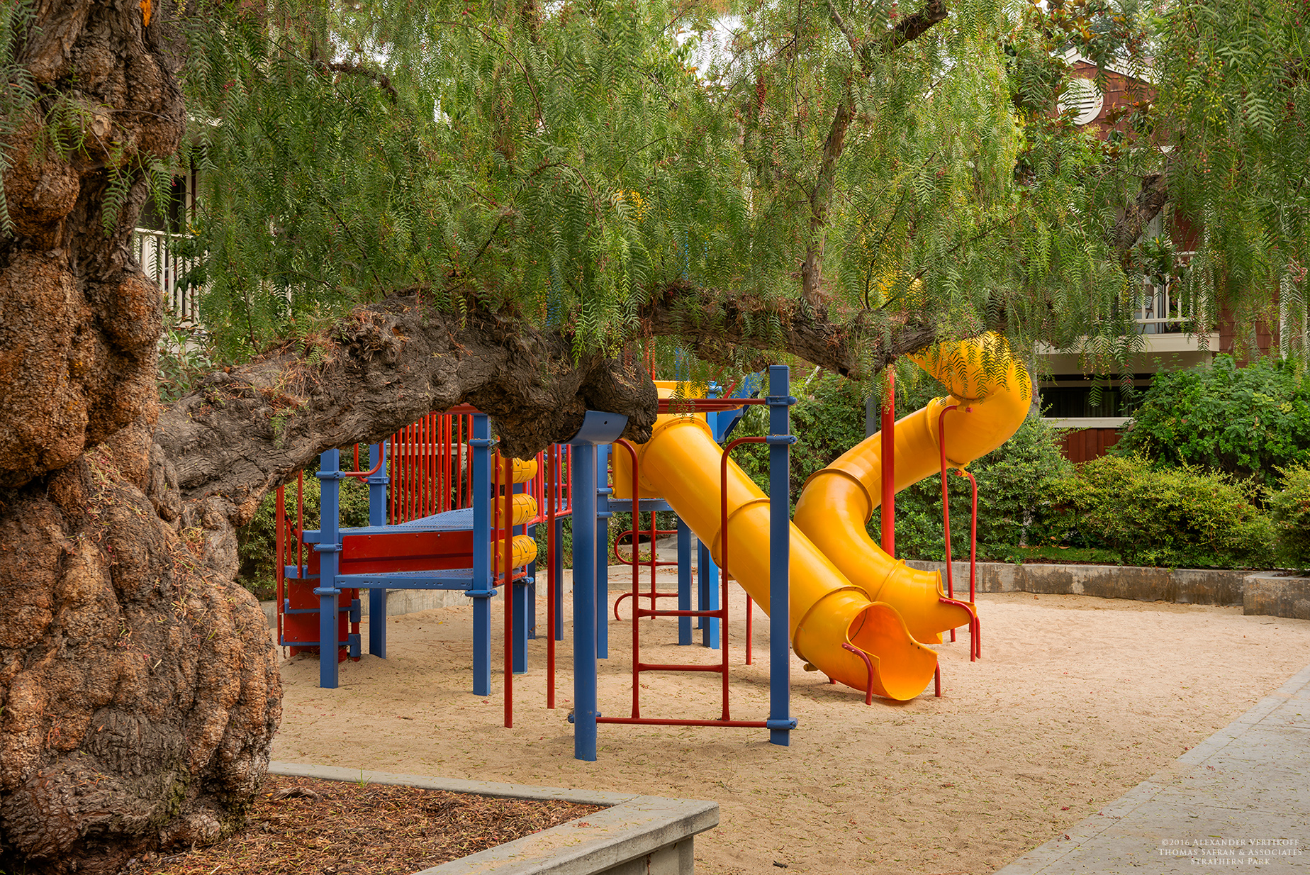 Play area at Strathern Park East. Play area is surrounded
by foliage and a large tree that sets on top of cement raised beds. 
Sand surrounds the colorful jungle gym that has two tube slides.
