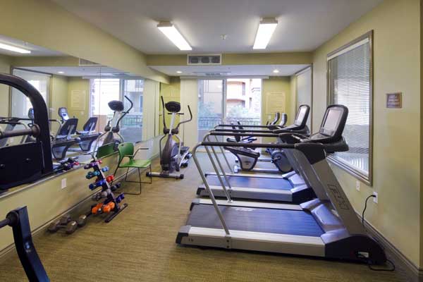 Interior image of Andalucia Senior Apartments gym with stair master, treadmill, seated bicycle and free weights.