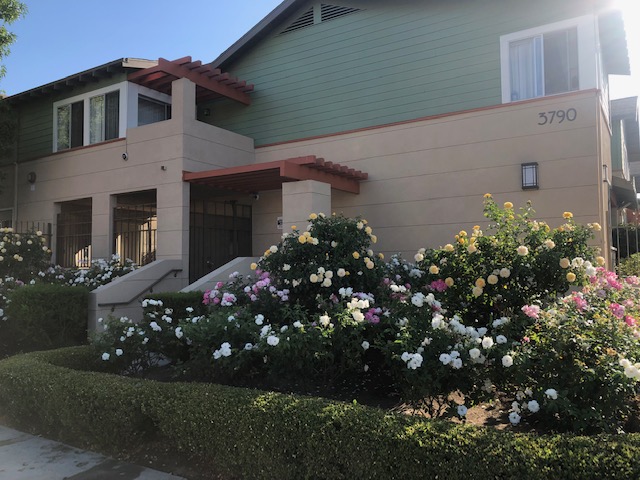 Front view of property. Front side of two story building. Large flower garden within low trimmed bushes. Stairs leading up to gated front entrance .