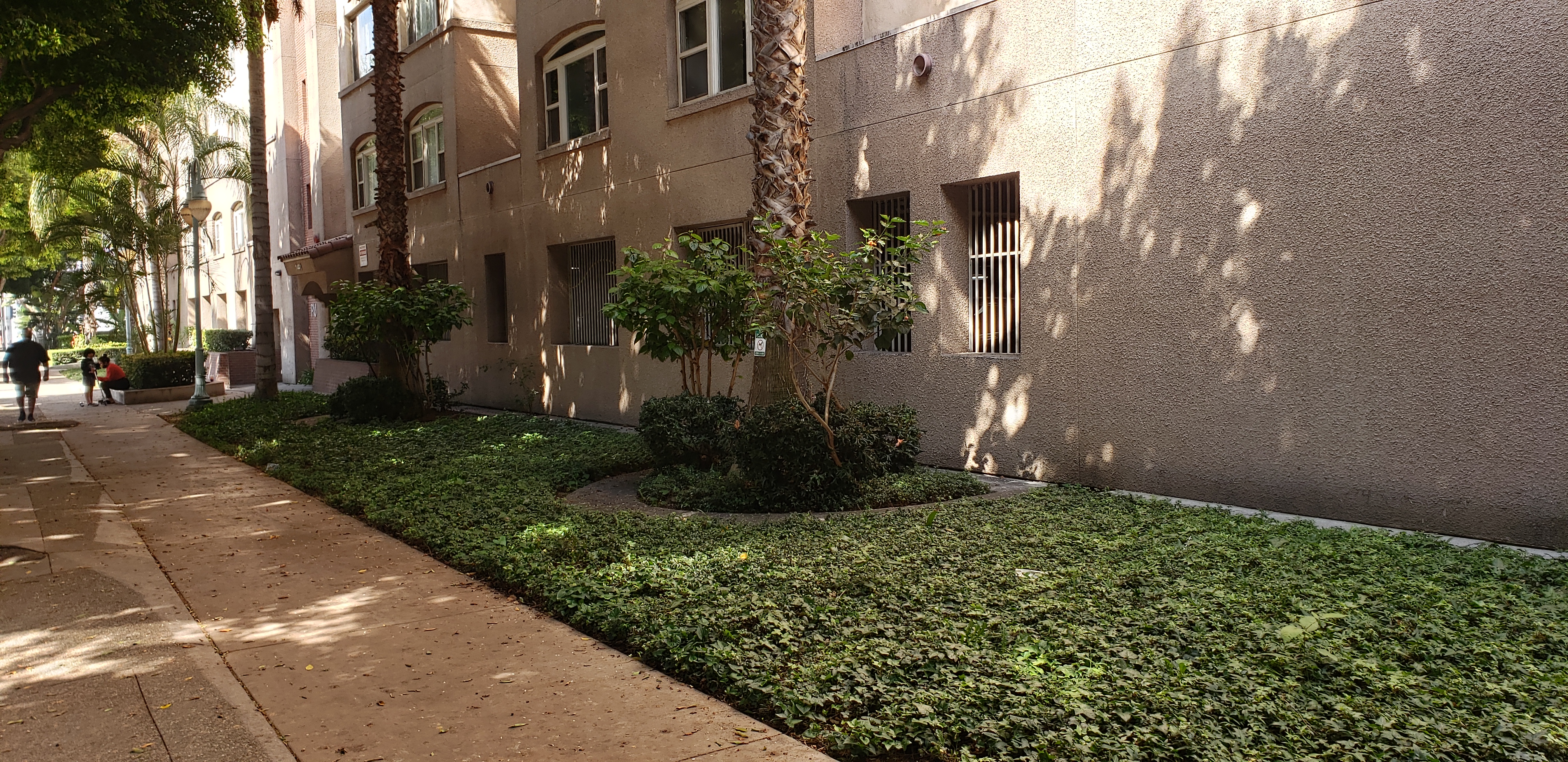 View of a side of a building that has plants and trees along the front and then a sidewalk.