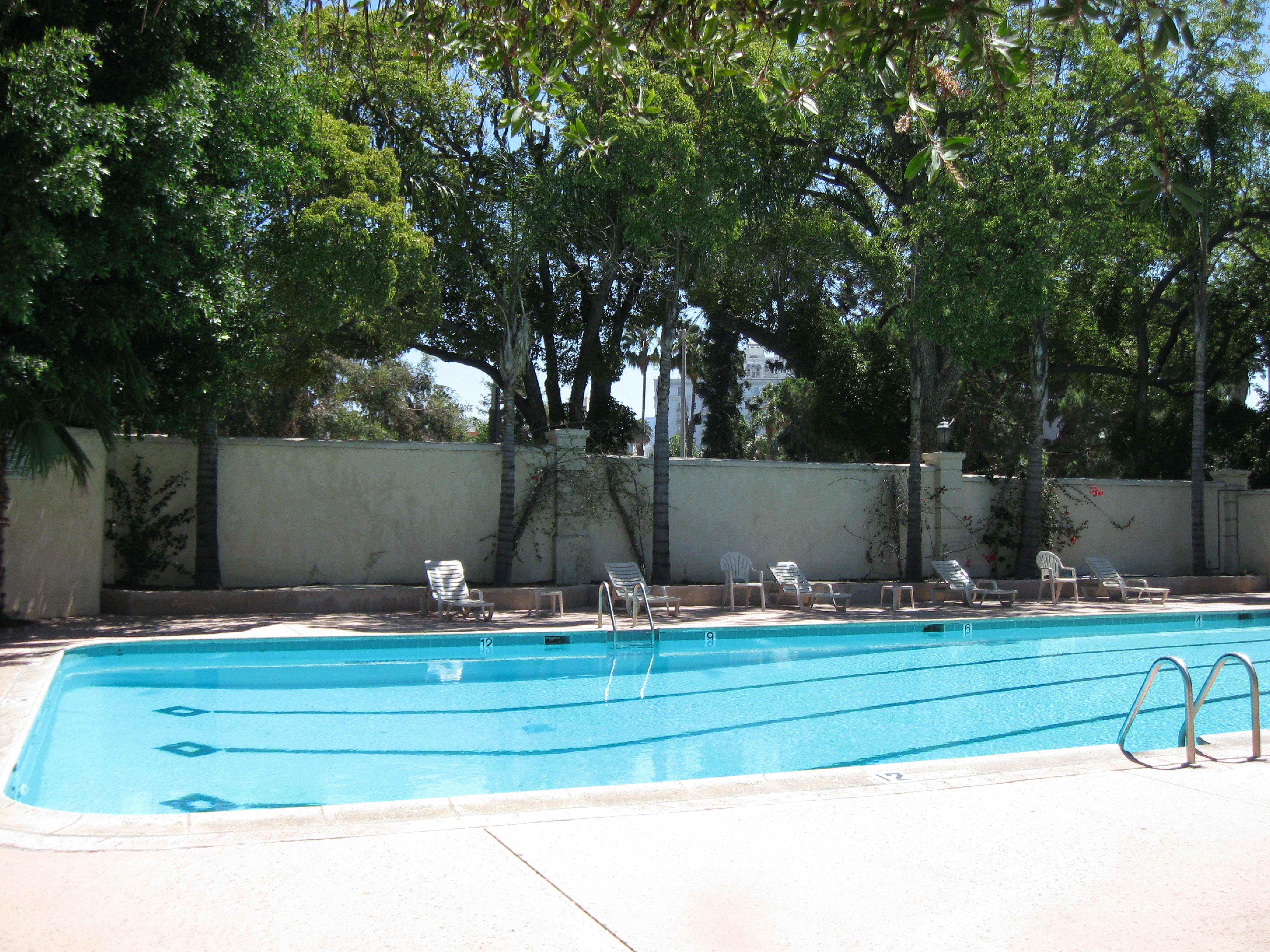 View of the pool at Sheraton Town House, with lounge chairs and a wall and tall trees