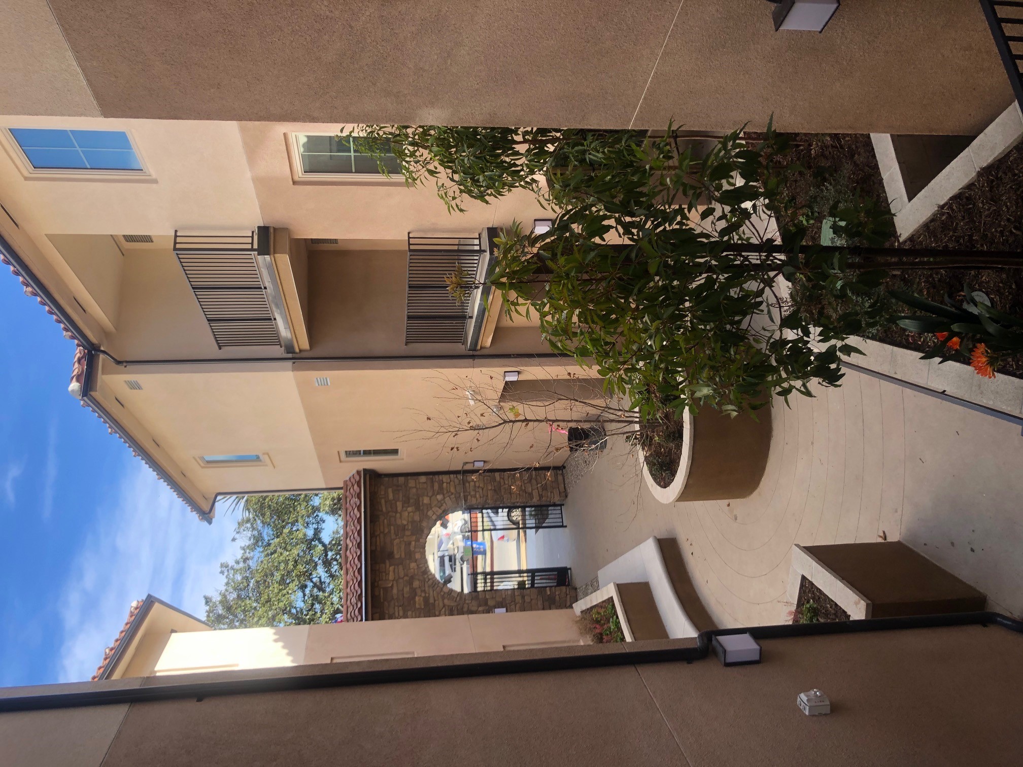 Photo of the Courtyard in the Senior Building.