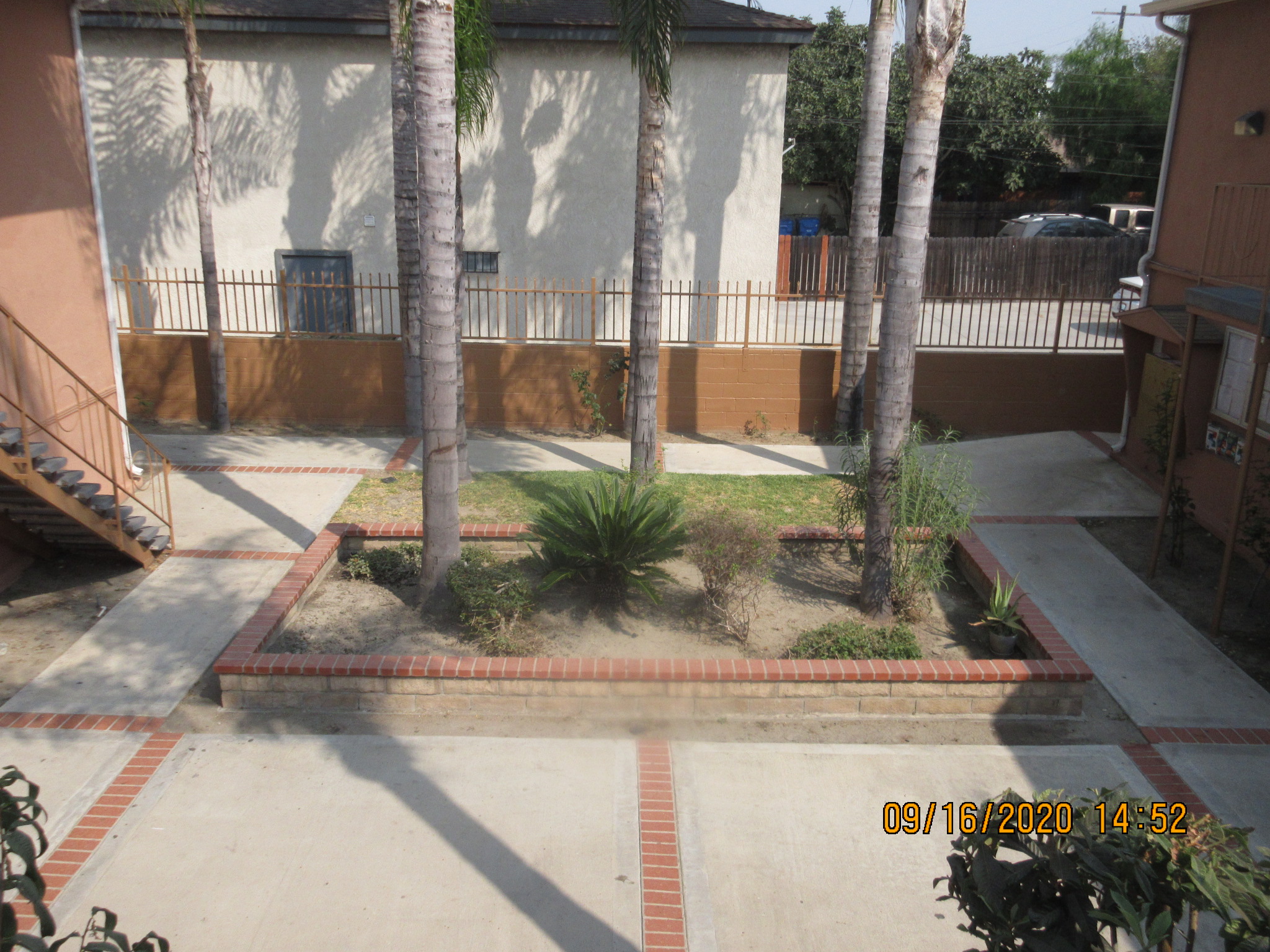 View of a courtyard, palm trees and plants.