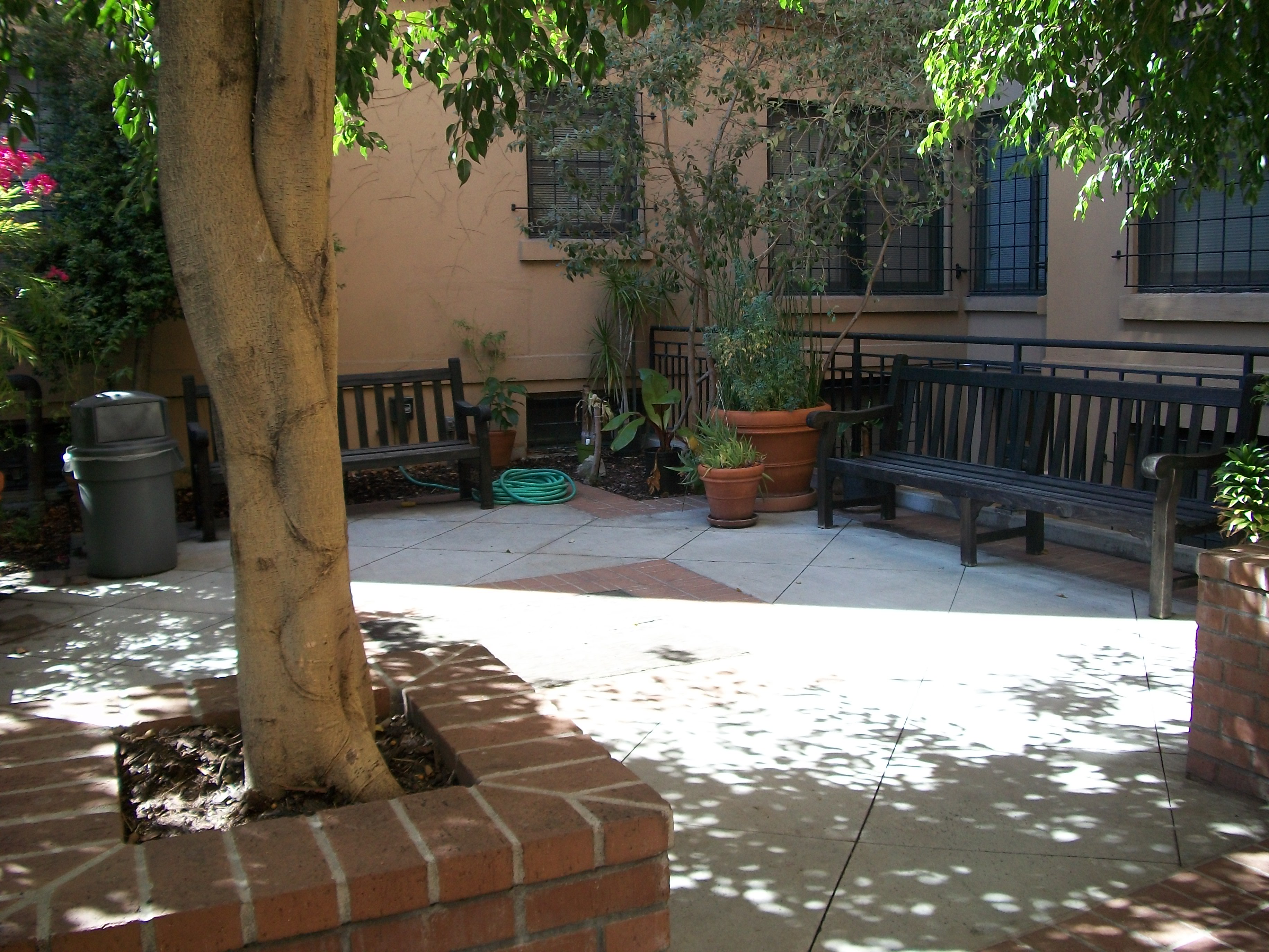 Exterior corner view of the courtyard at the Young Apartments. Large tree with benches along the wall and railings with potted plants