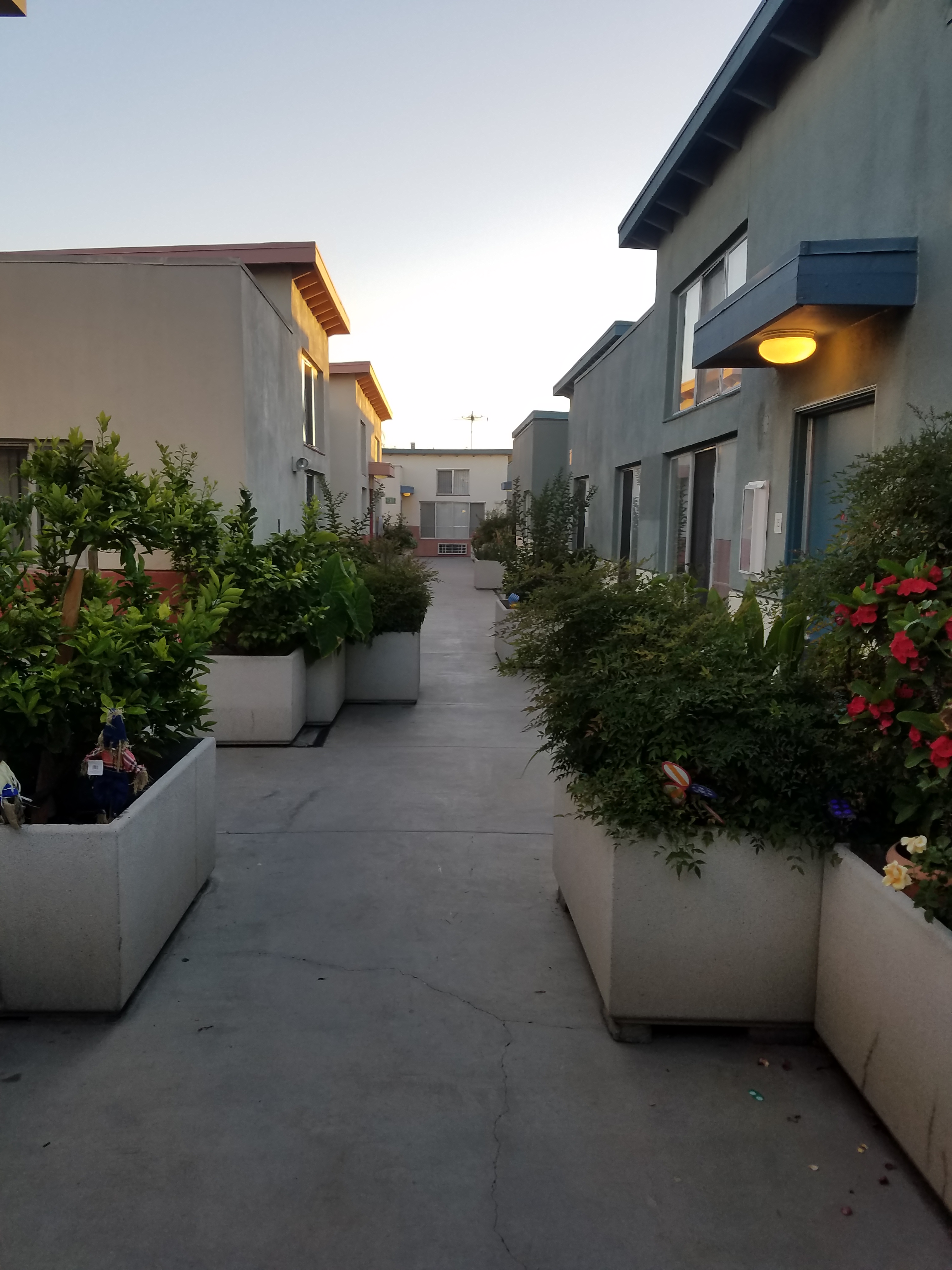 Parthenia court upstairs courtyard. Large raised bed planters along buildings and walkway