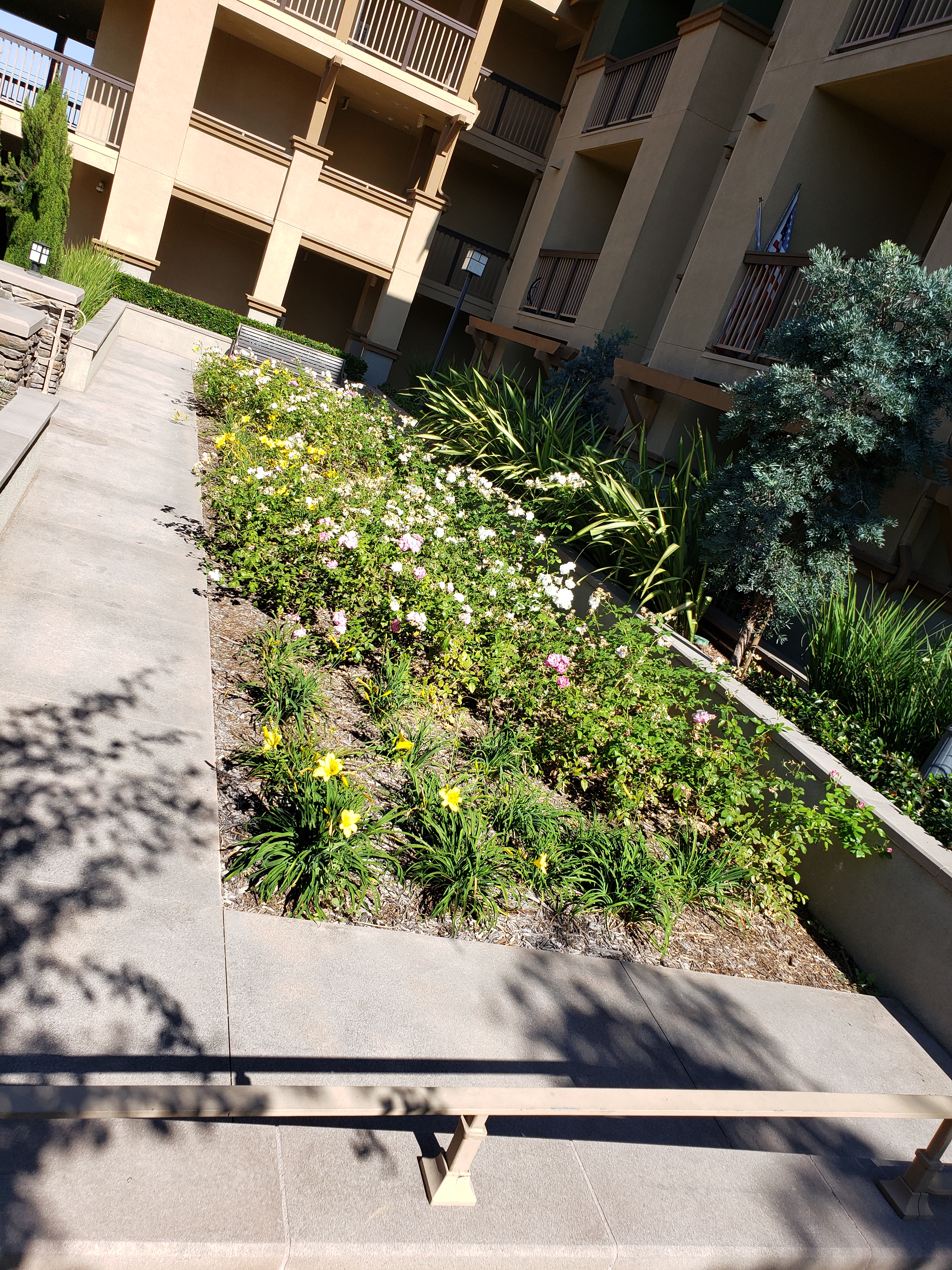 Exterior view of a garden area at Broadway Villas - flowerbed in front of a long concrete planter with shrubs
