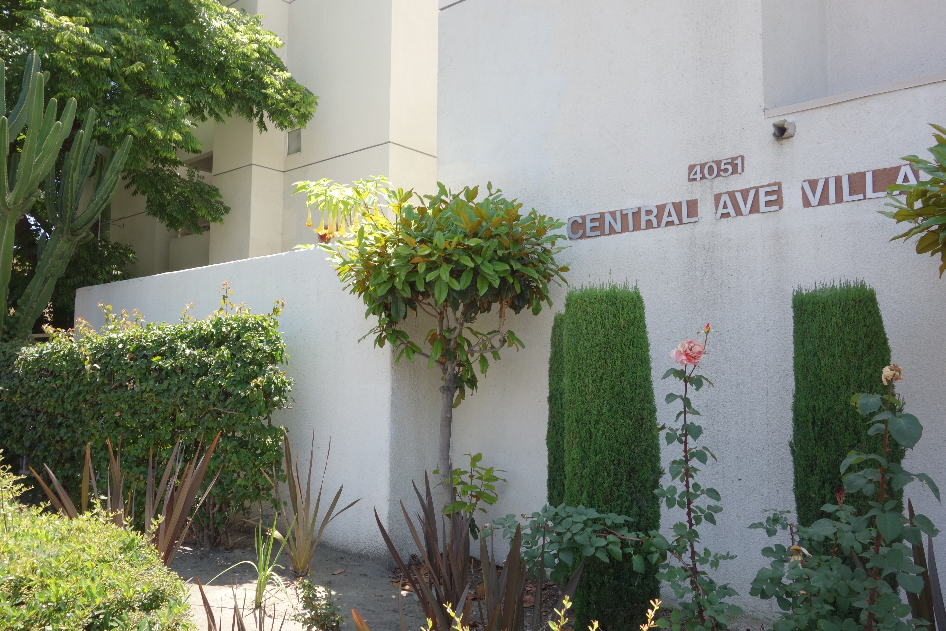close view of central avenue villa sign. large garden area in front of sign .