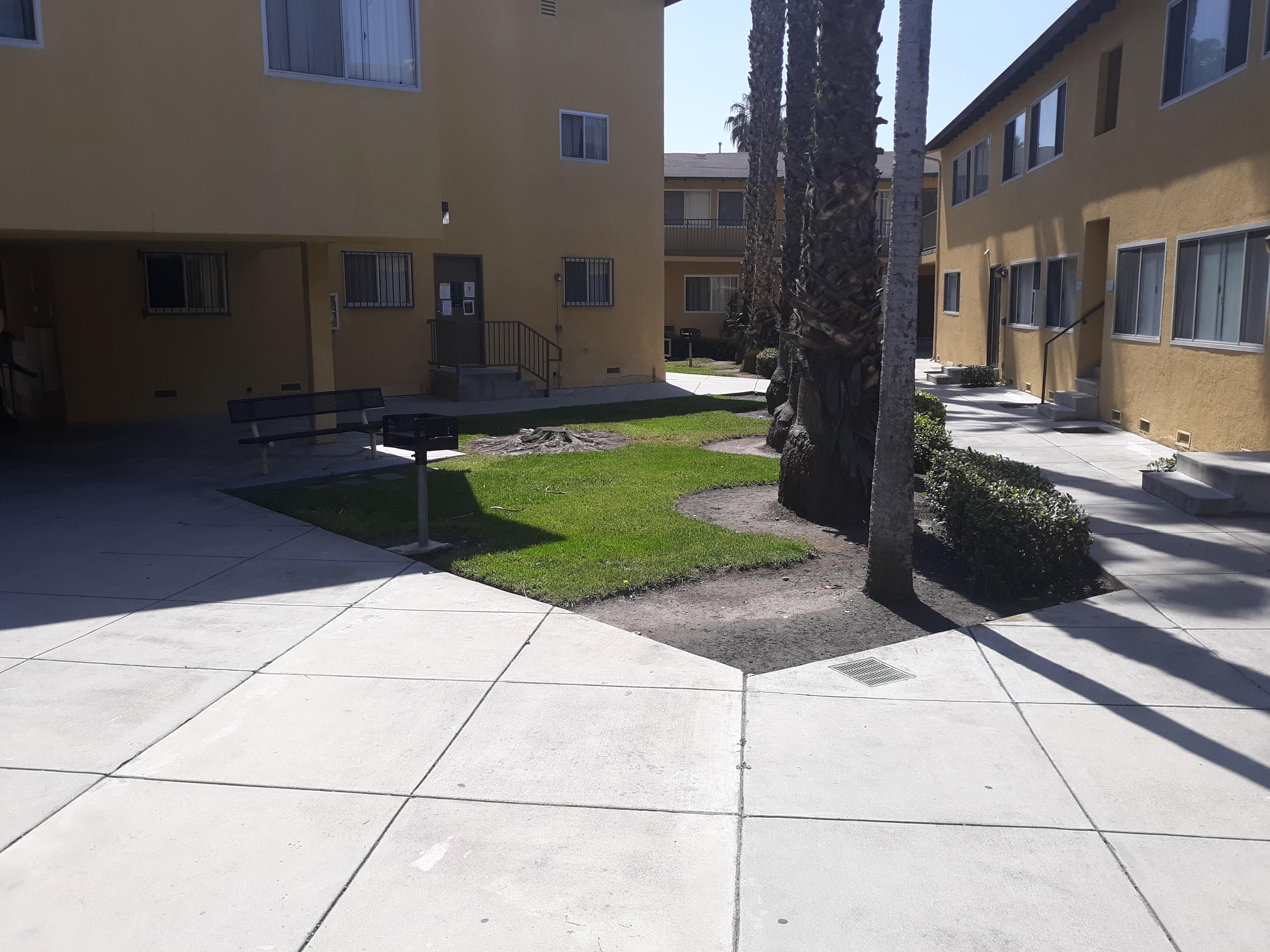 Exterior view of Park Lane Family Housing showing a courtyard with tall palm trees in the center