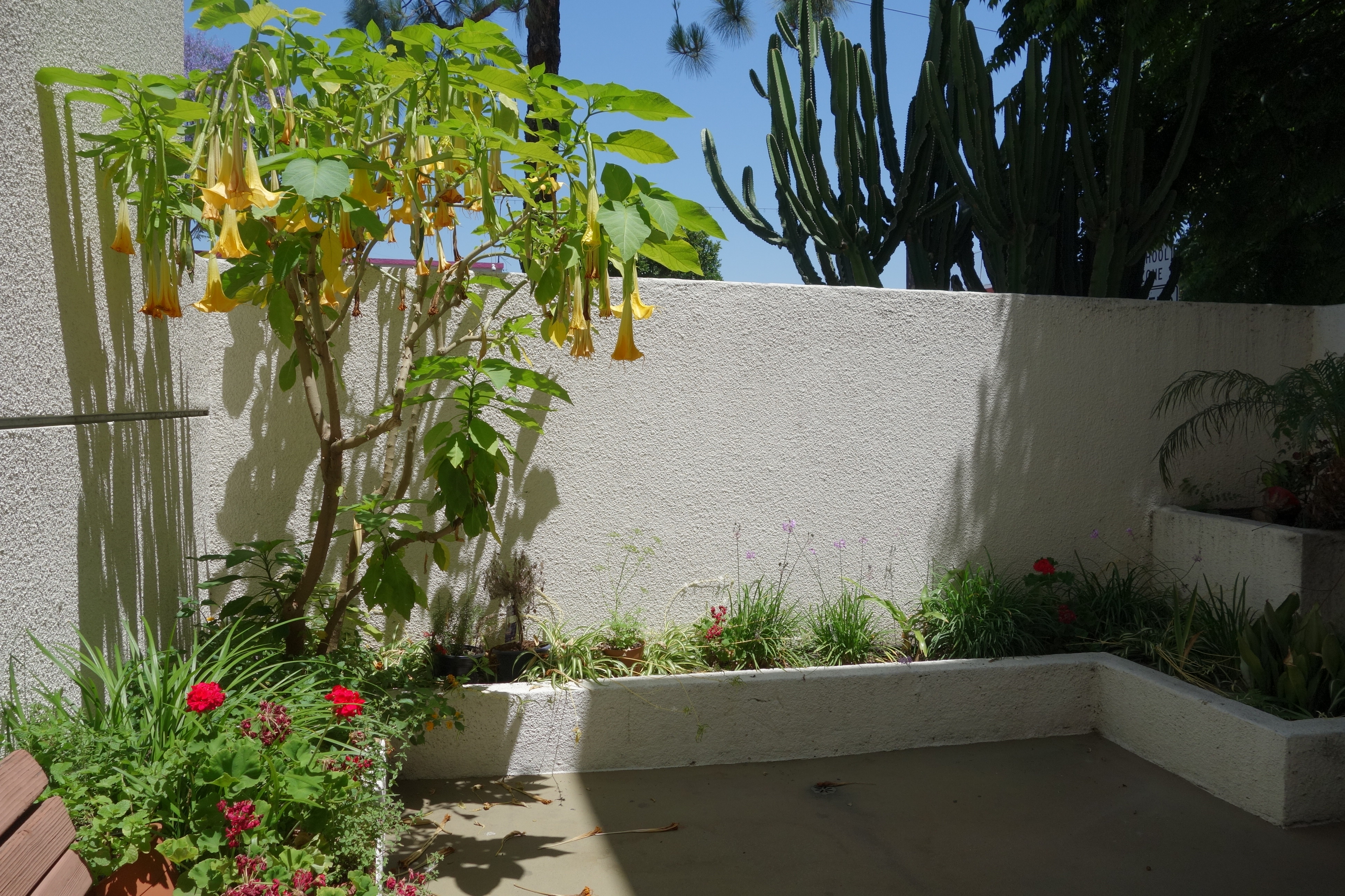 flower area in Central avenue villa