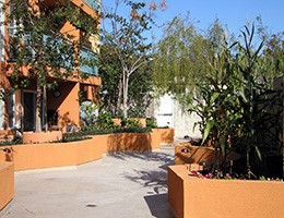 Hollyview Apartments court yard