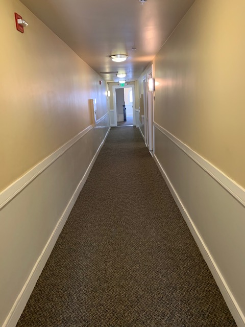 View of a hallway, brown carpet, fire alarms, light lamps on the ceiling.