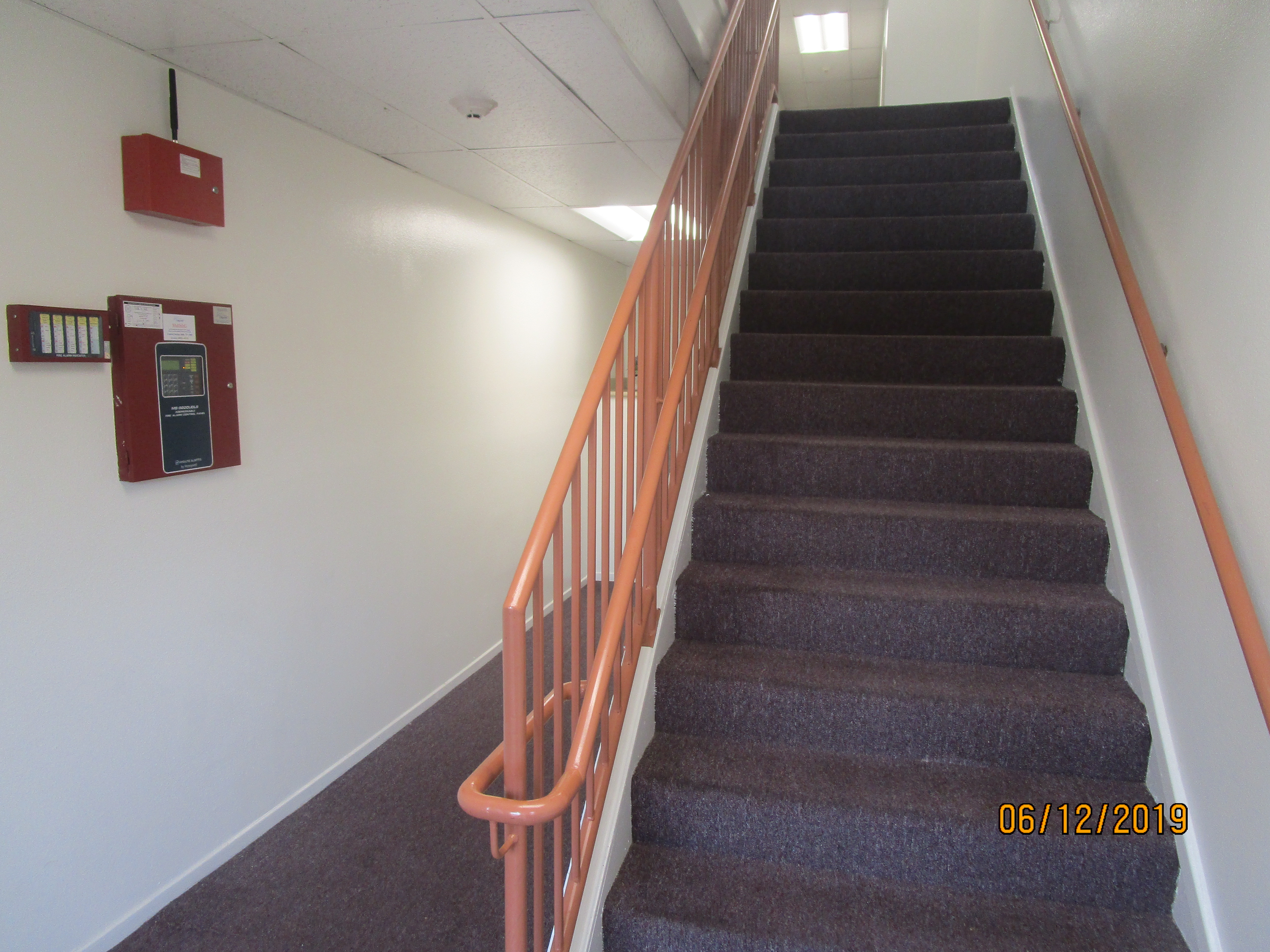 Front view of a brown carpet stairways with handrails on each side.
