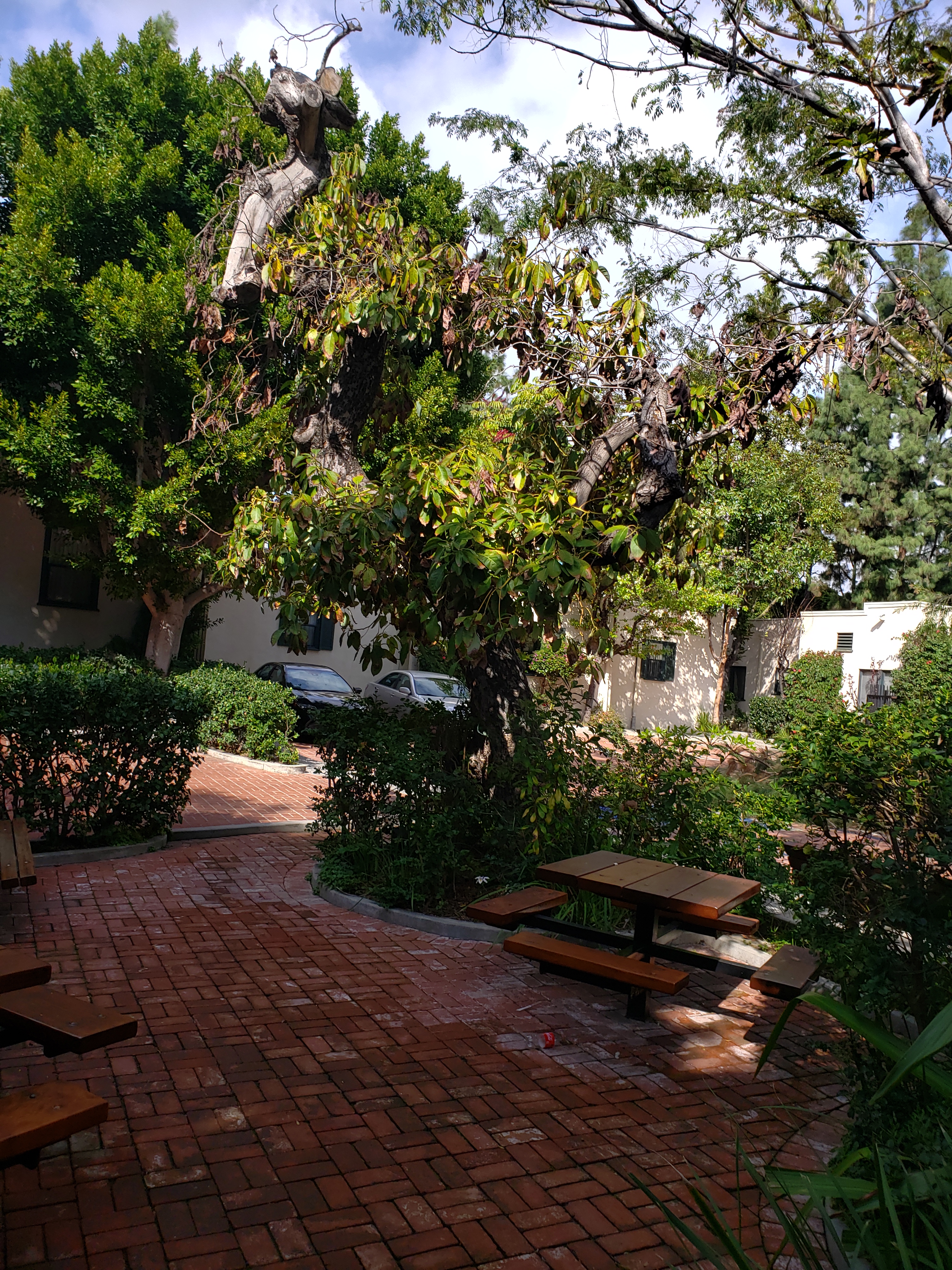 Exterior view of Hollywood El Centro Apartments courtyard. Brick tiled with wooden picknic tables and landscaping surrounding.