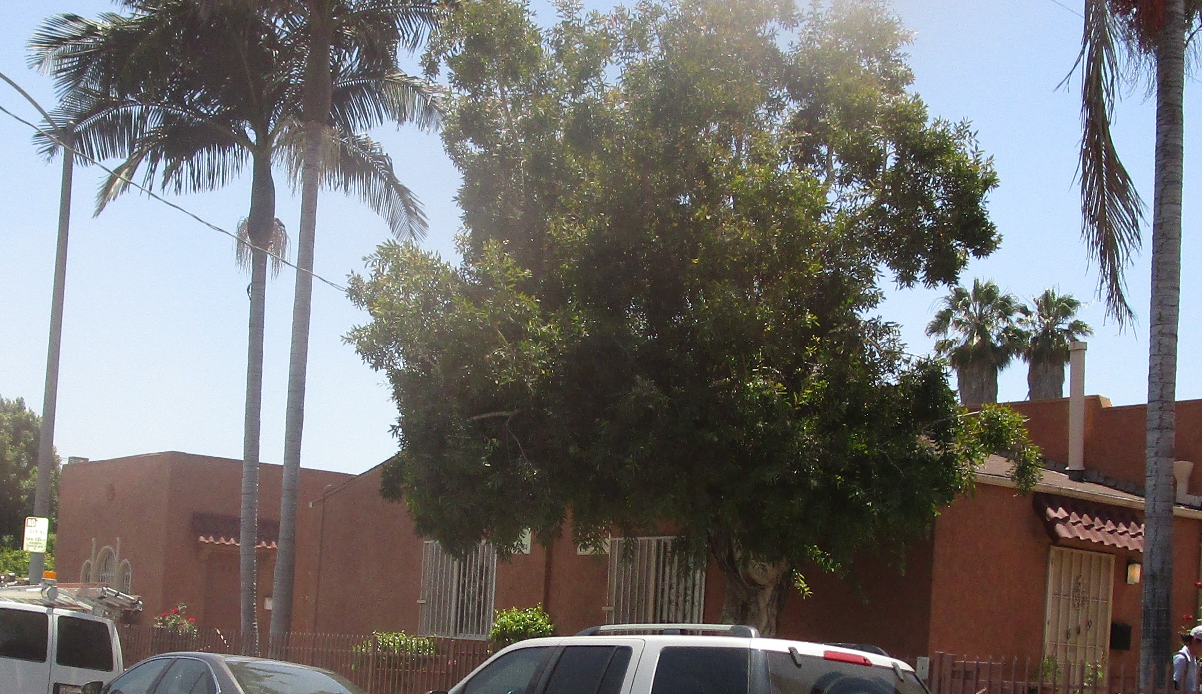 Side view of a courtyard style brick color building, all gated including windows, Iron screen door, palm and tall trees, parked cars in front, passing by person.