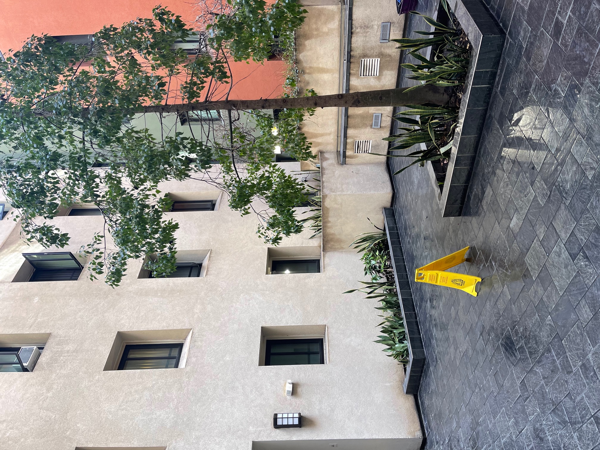 Photo of the exterior of the building showing windows and an open area with plants and a tree
