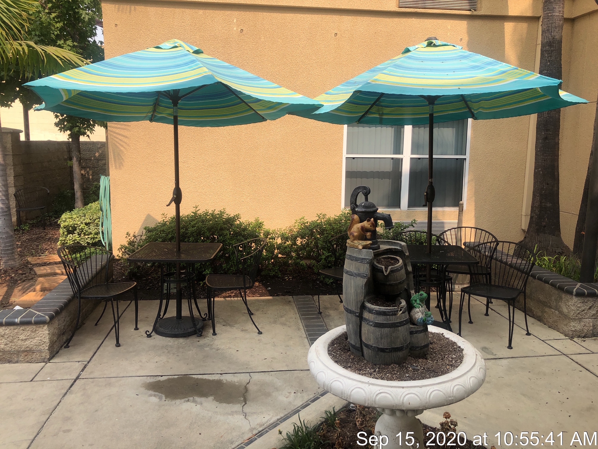 HFL Palms Court - View of a patio with two tables with umbrellas and chairs. There are plants and trees surrounding the area.
