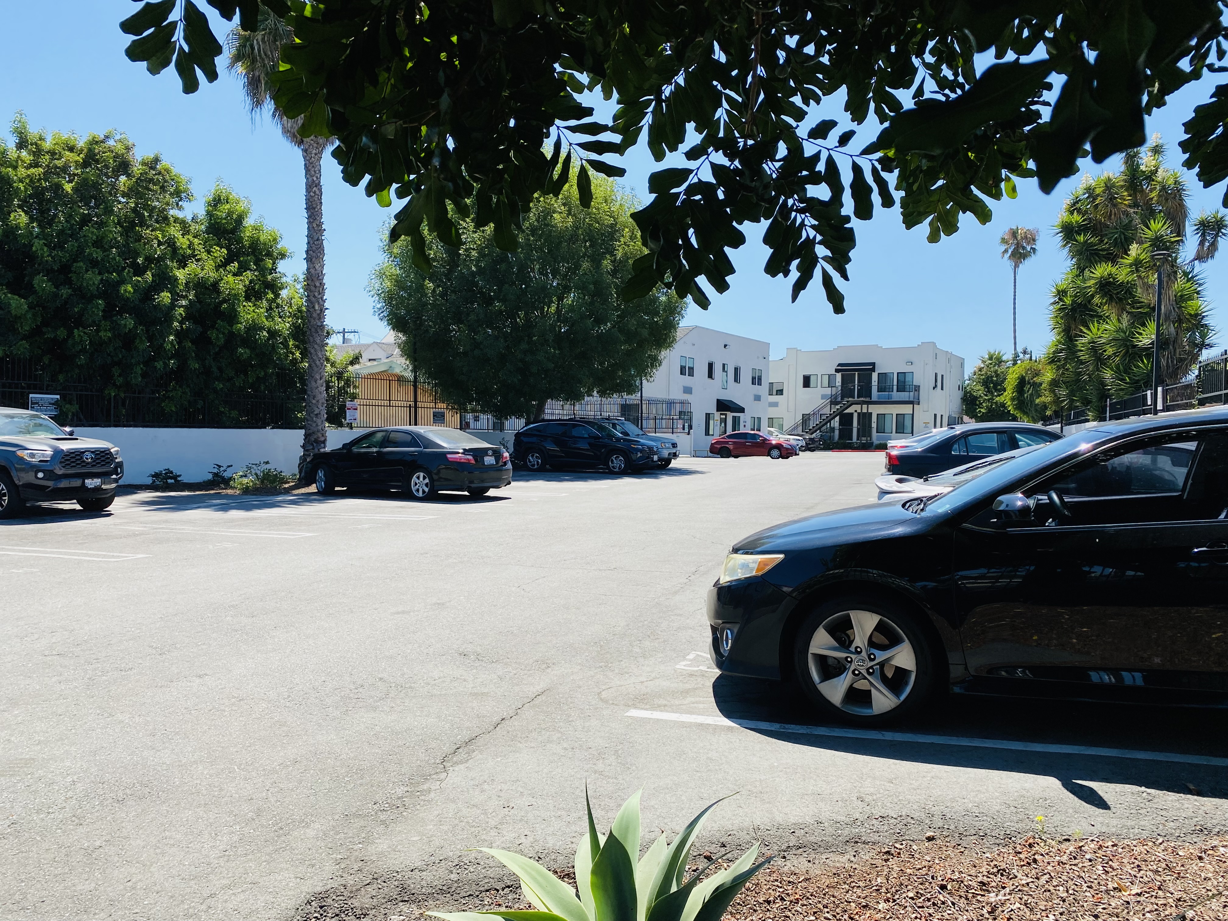 View of the parking lot and driveway entrance for both buildings