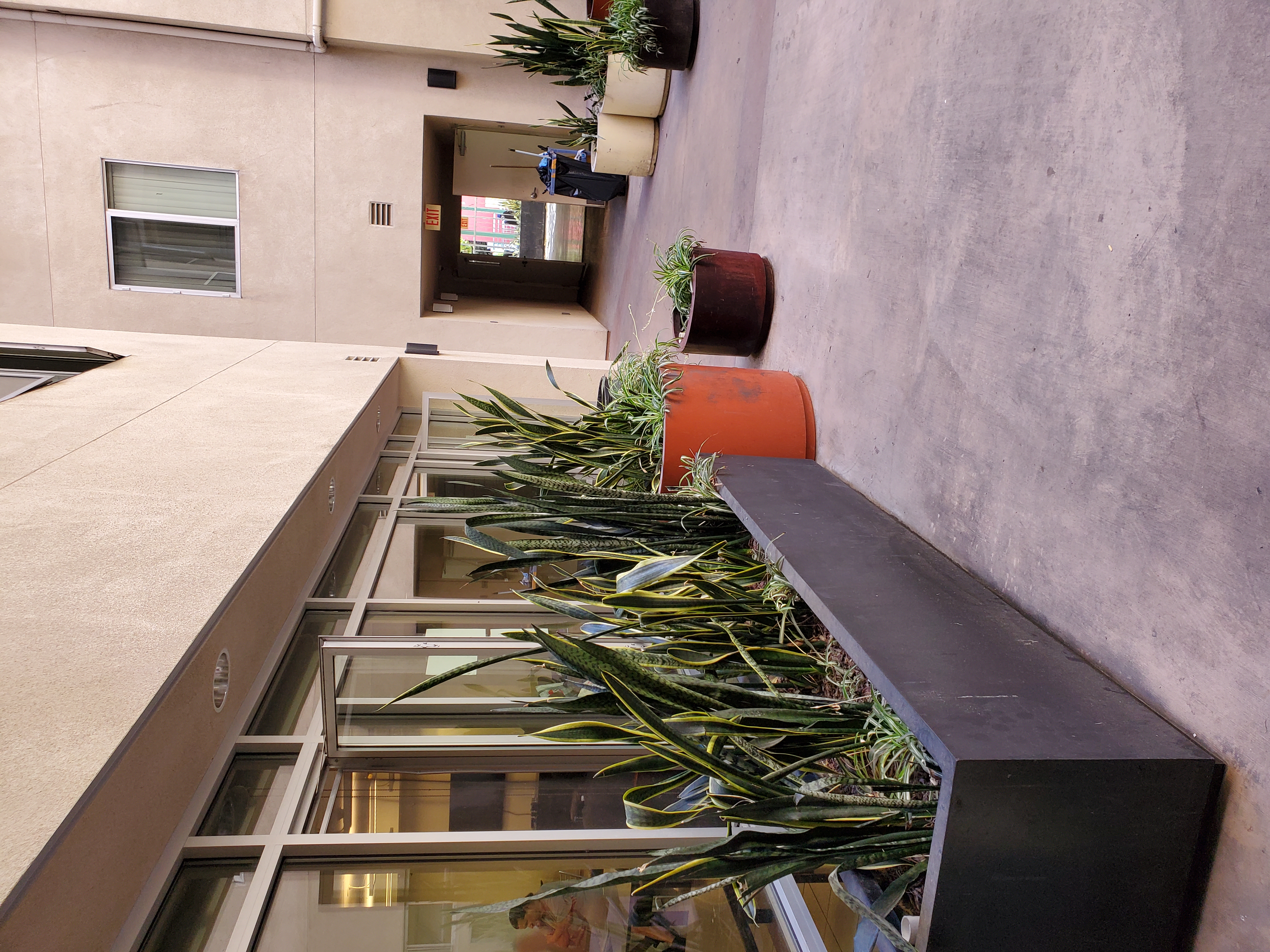 Photo of a portion of a courtyard with plants, access to the street and glass windows.