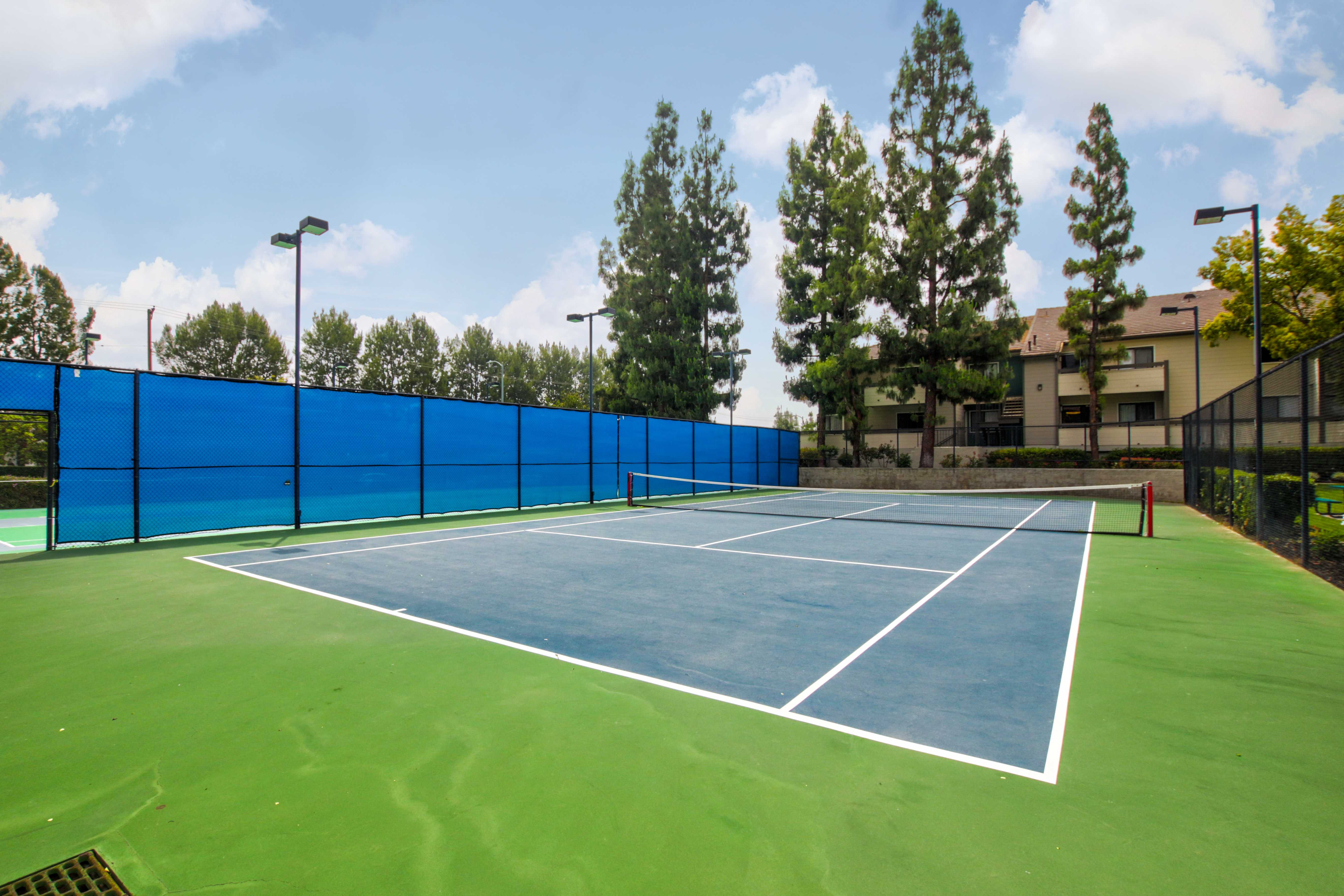 View of an outside tennis court. There are blue windscreens on the fence, and trees and bushes surround the outter part of it.