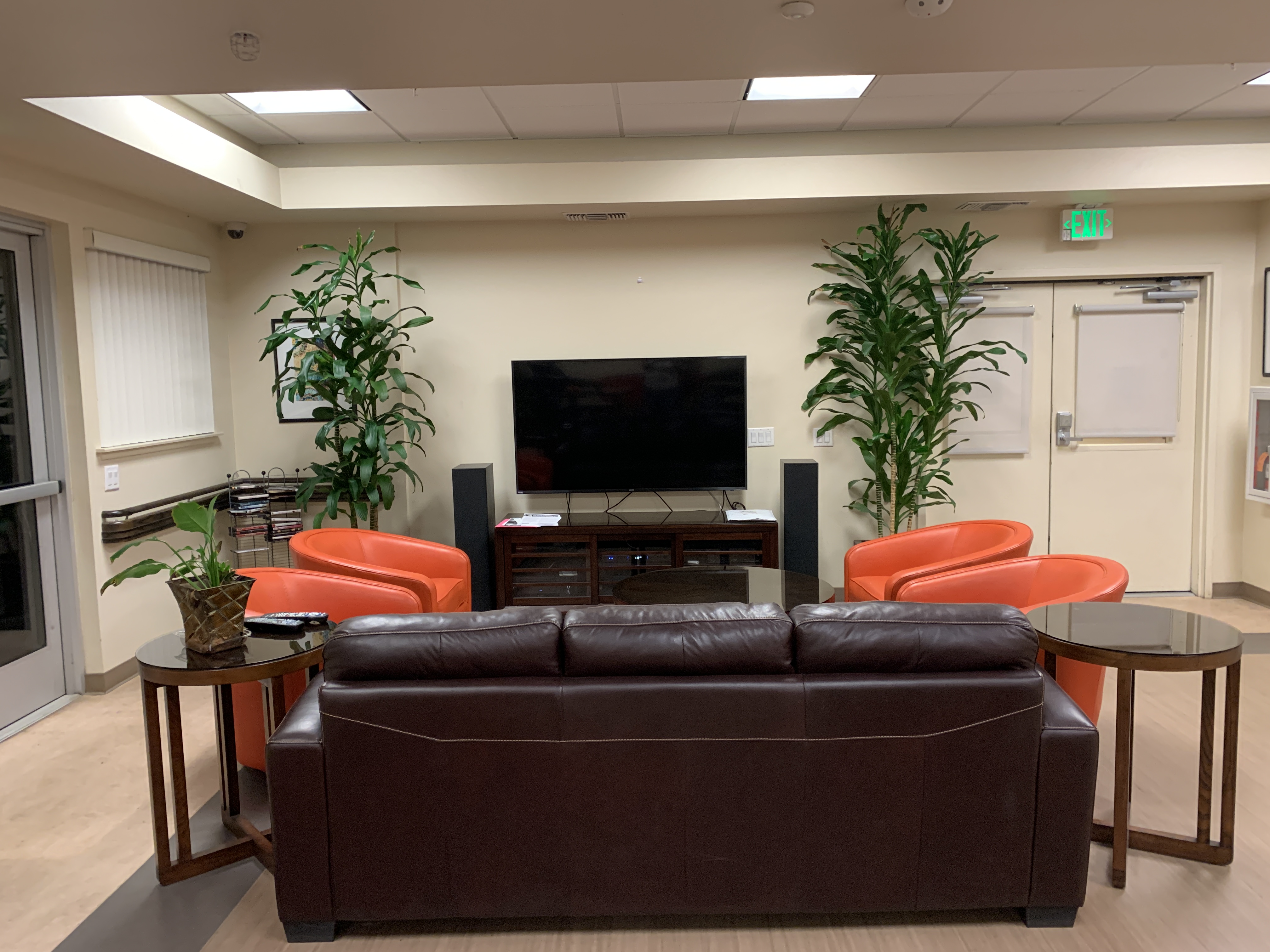 Willis Avenue community room. Room as several seating areas, tv mounted on wall. Entertainment system and tall plants along wall next to tv.